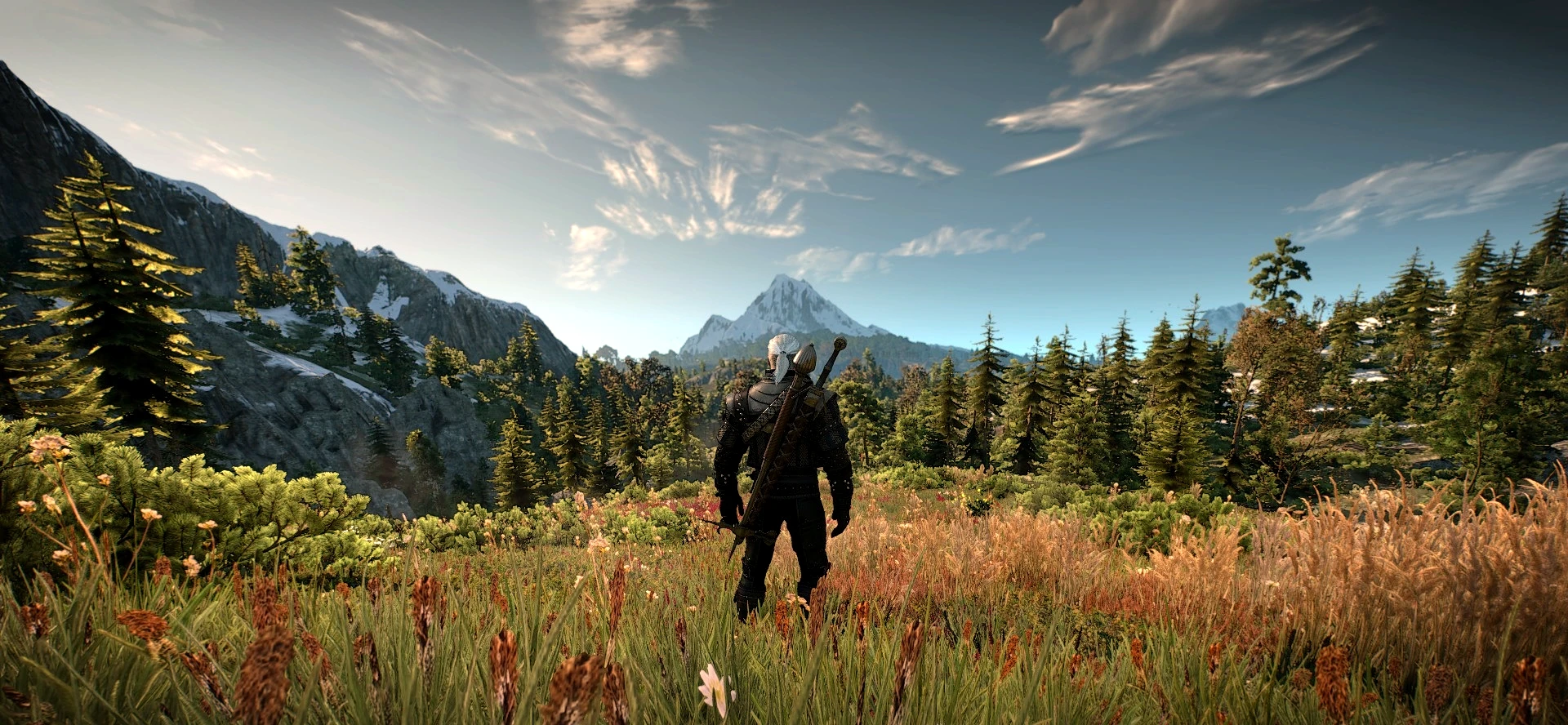 Natural landscape of the Skellige at The Witcher 3 Nexus - Mods and ...