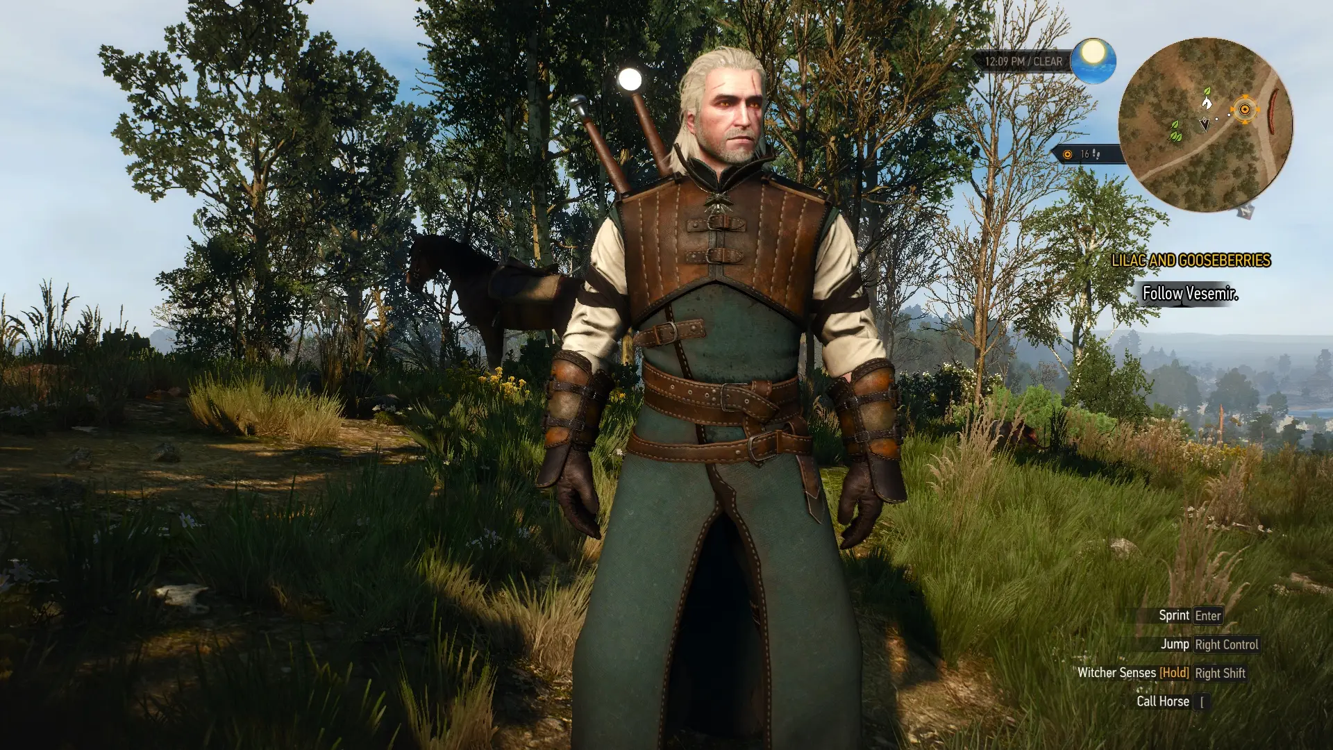 Temerian armor the witcher 3 фото 102