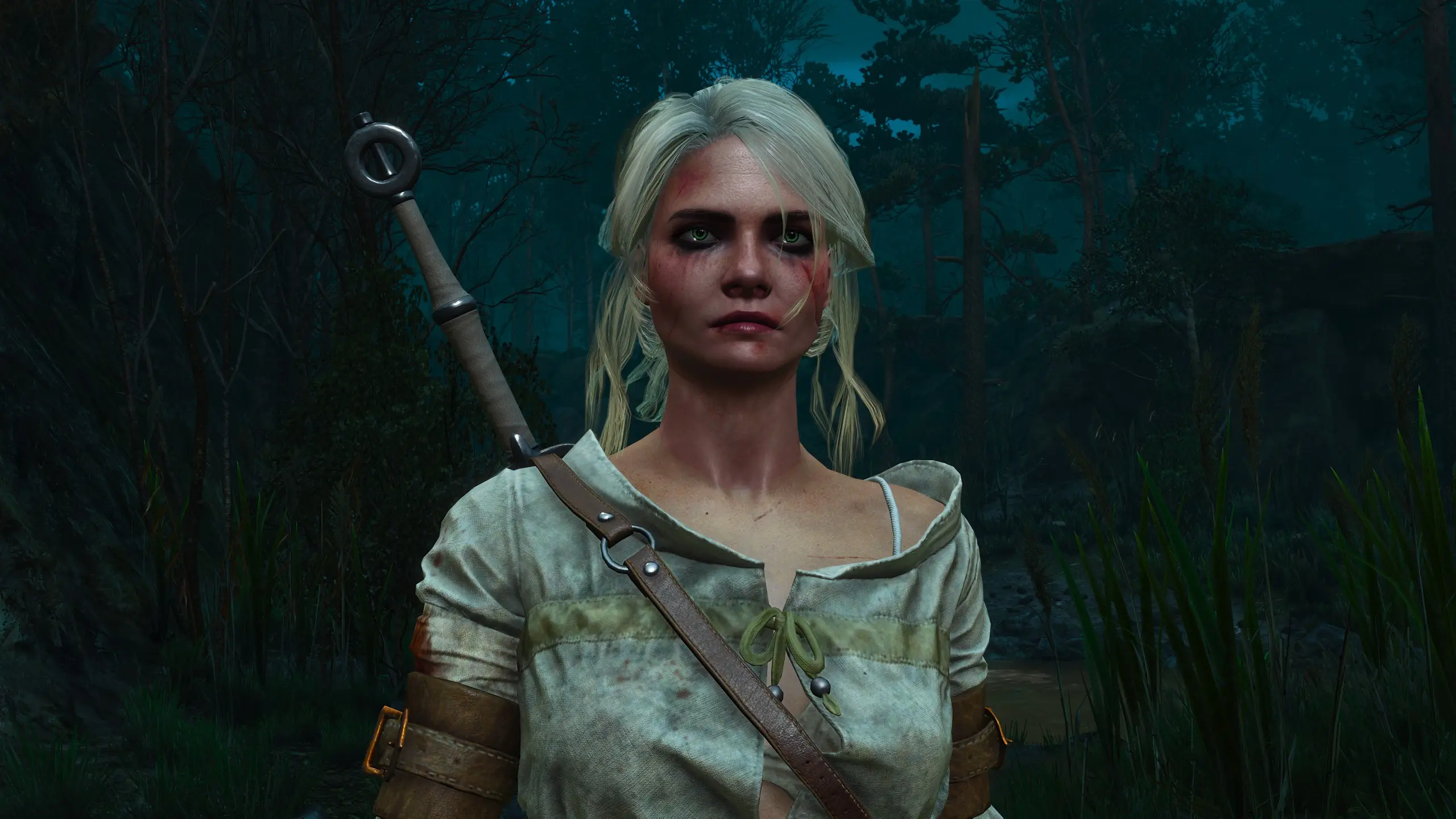 Netflix Ciri At The Witcher 3 Nexus Mods And Community 1380