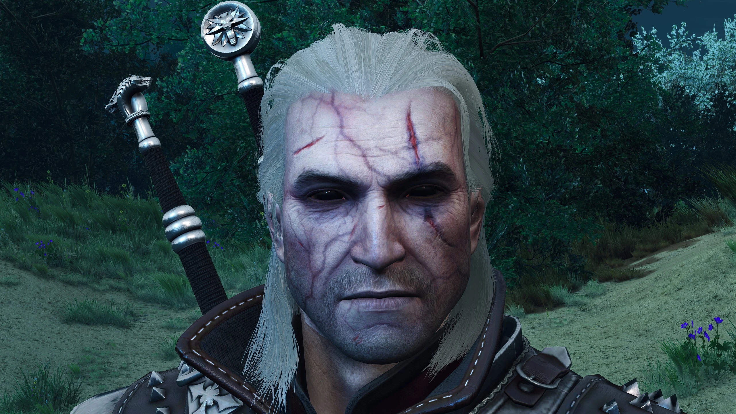 Black eyes on Geralt at The Witcher 3 Nexus - Mods and community