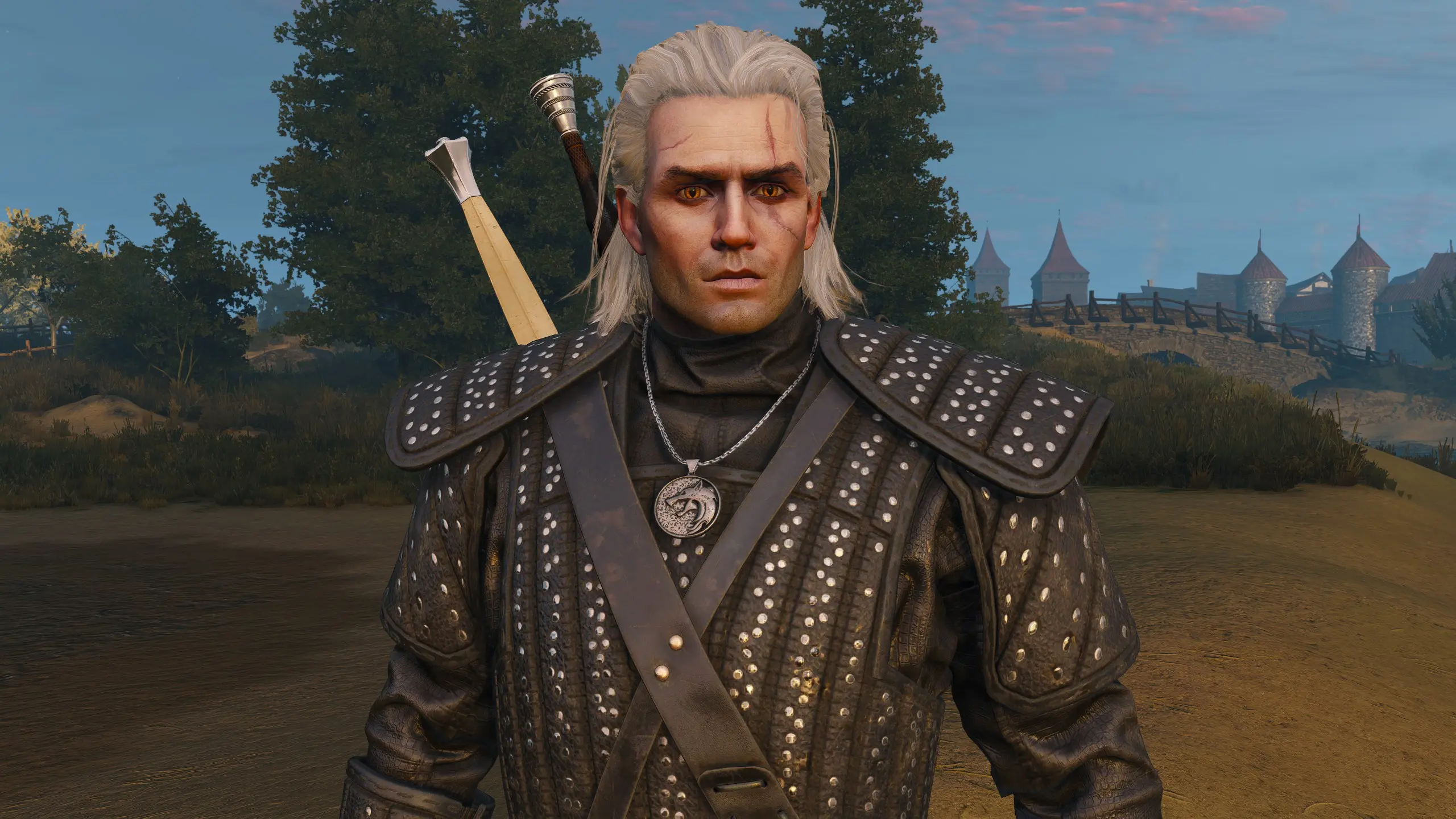 The Witcher Nexus - mods and community