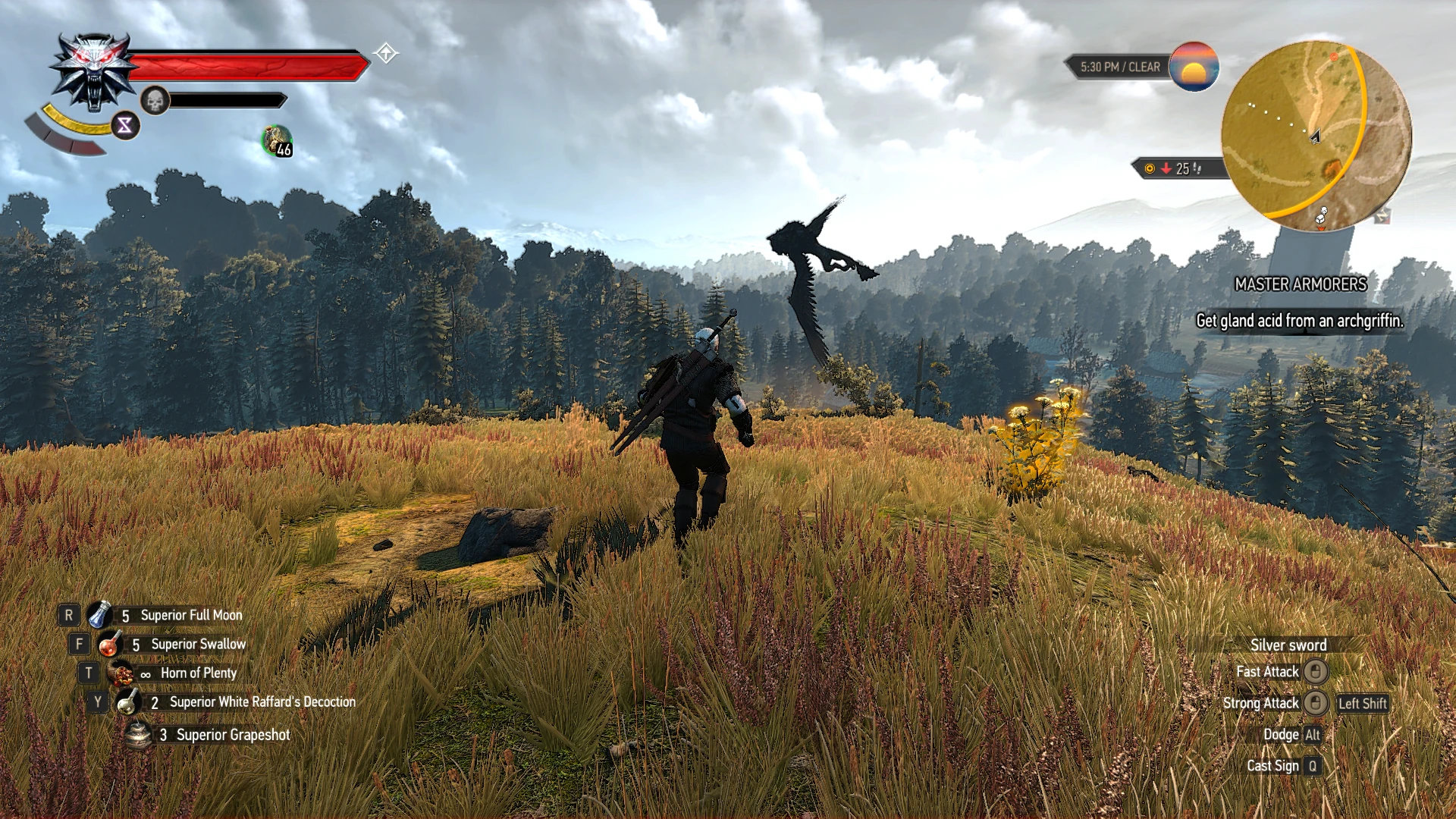 60 fps gui the witcher 3 фото 101