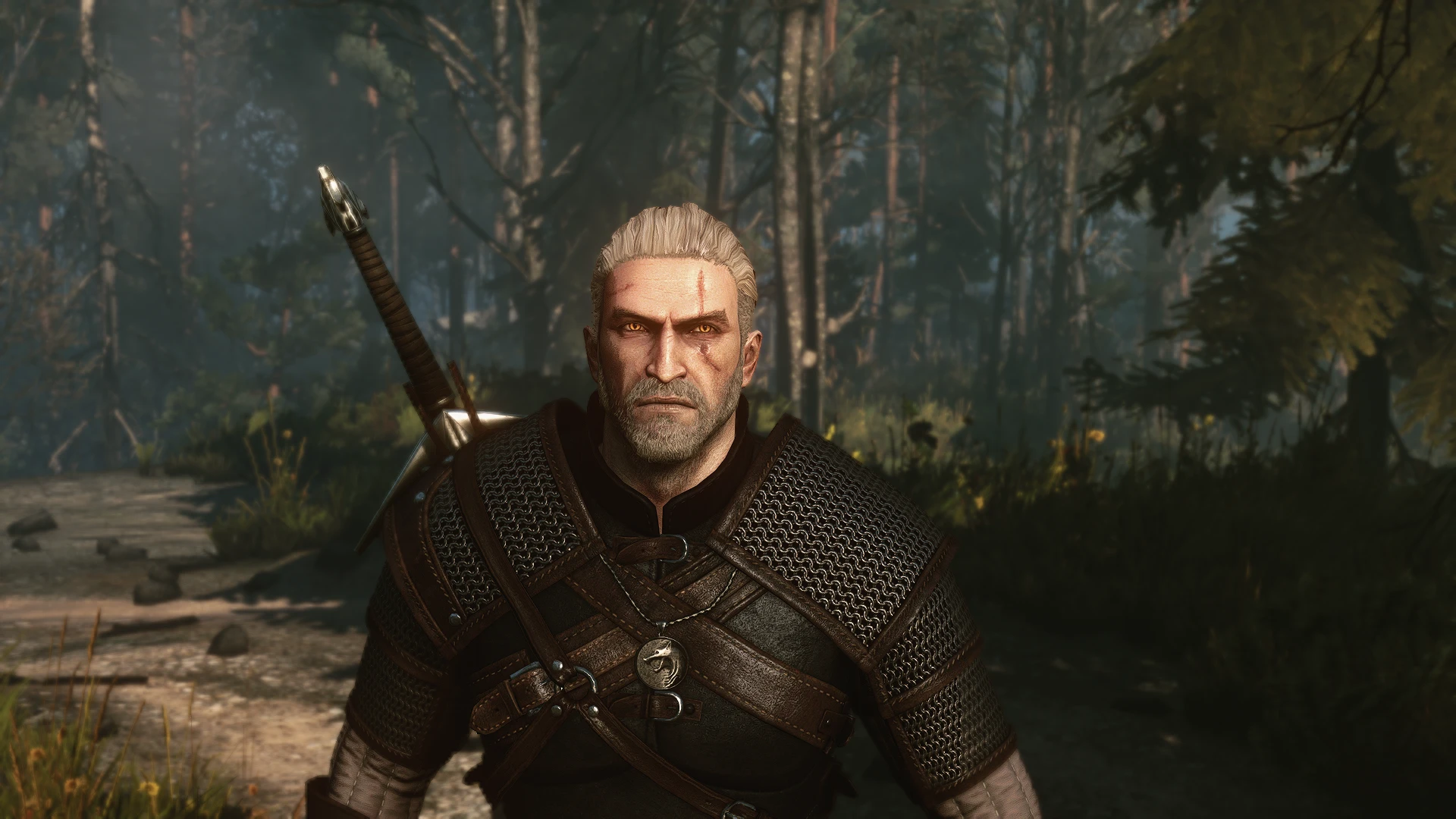 Geralt at The Witcher 3 Nexus - Mods and community