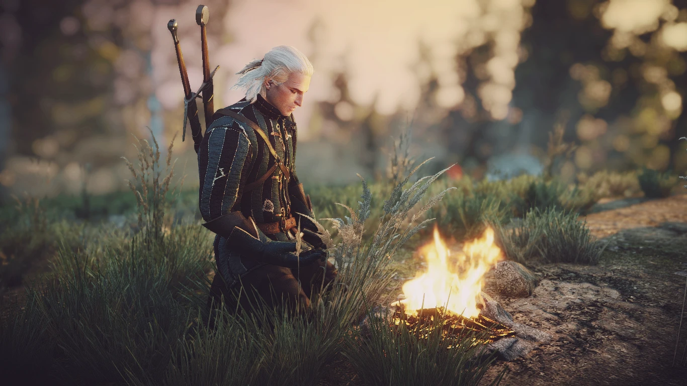 The witcher 3 mods playground фото 92