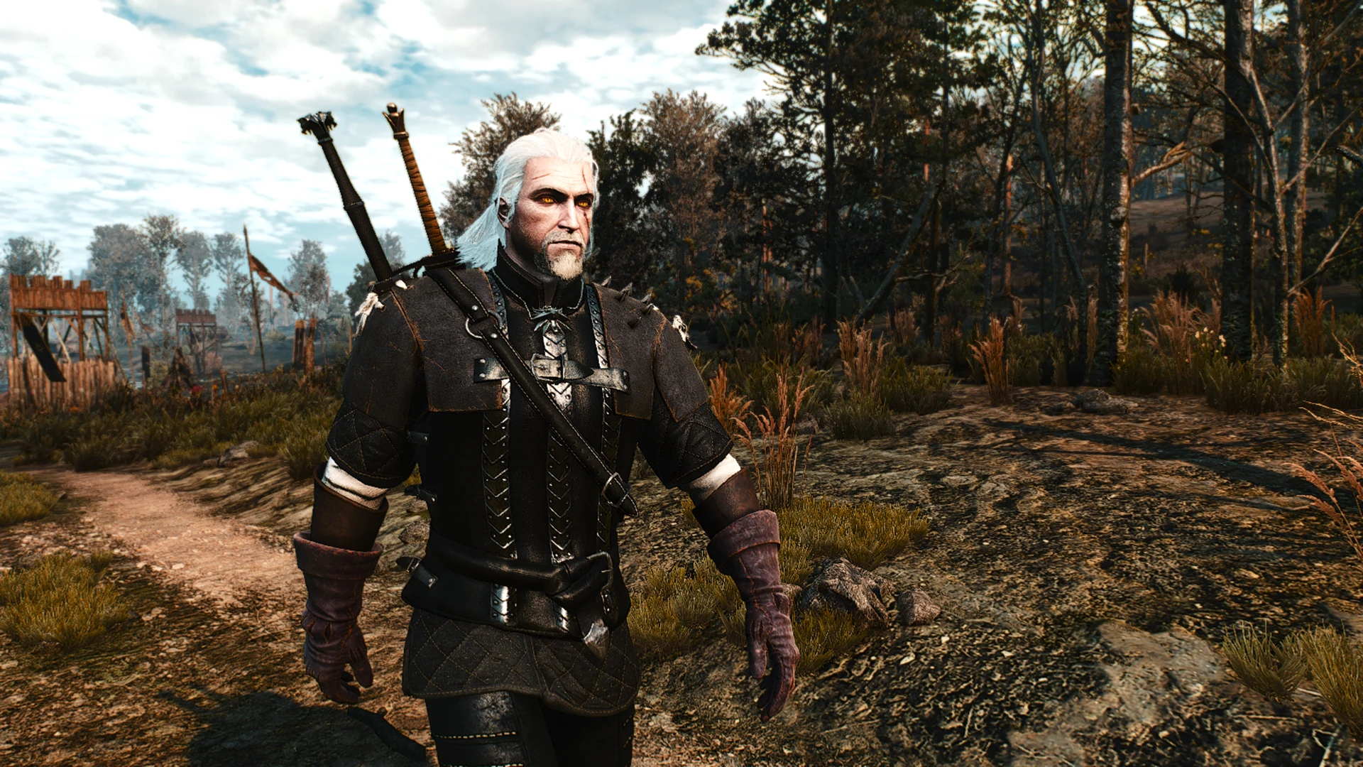 The witcher 3 armor pack фото 85