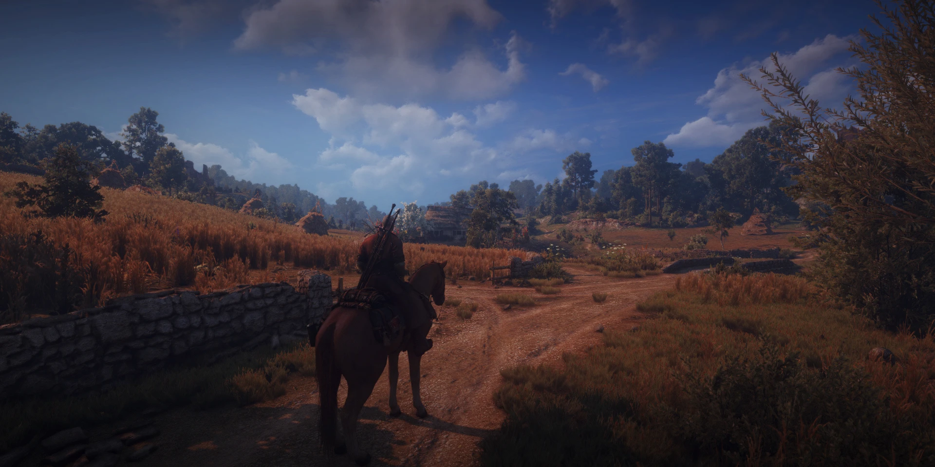 Riding around for hours at The Witcher 3 Nexus - Mods and community