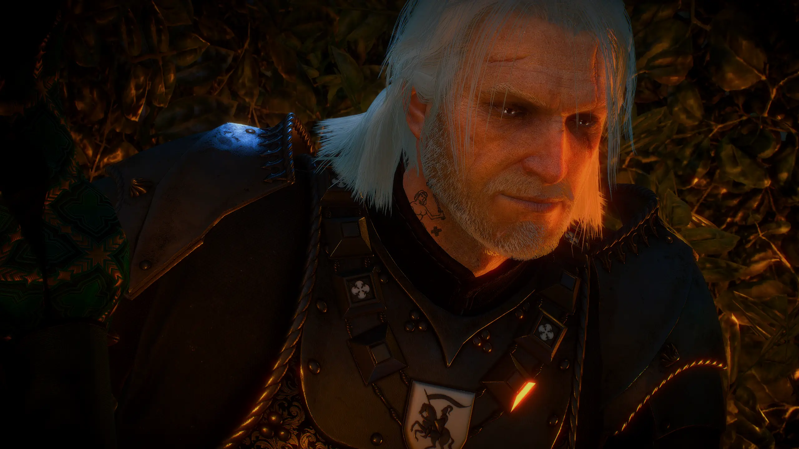 Geralt Smiling at The Witcher 3 Nexus - Mods and community