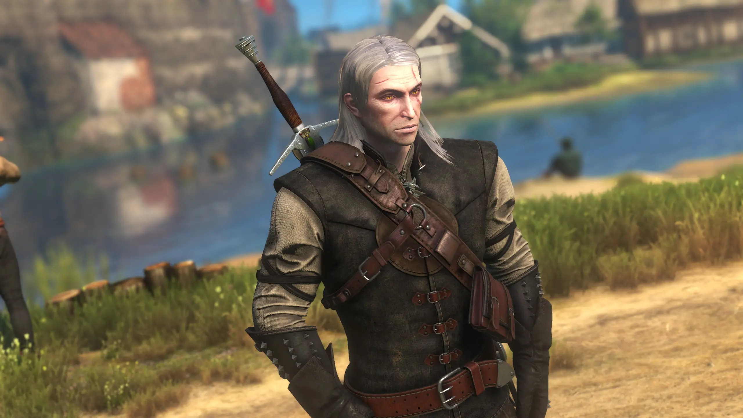 TW1 Geralt at The Witcher 3 Nexus - Mods and community