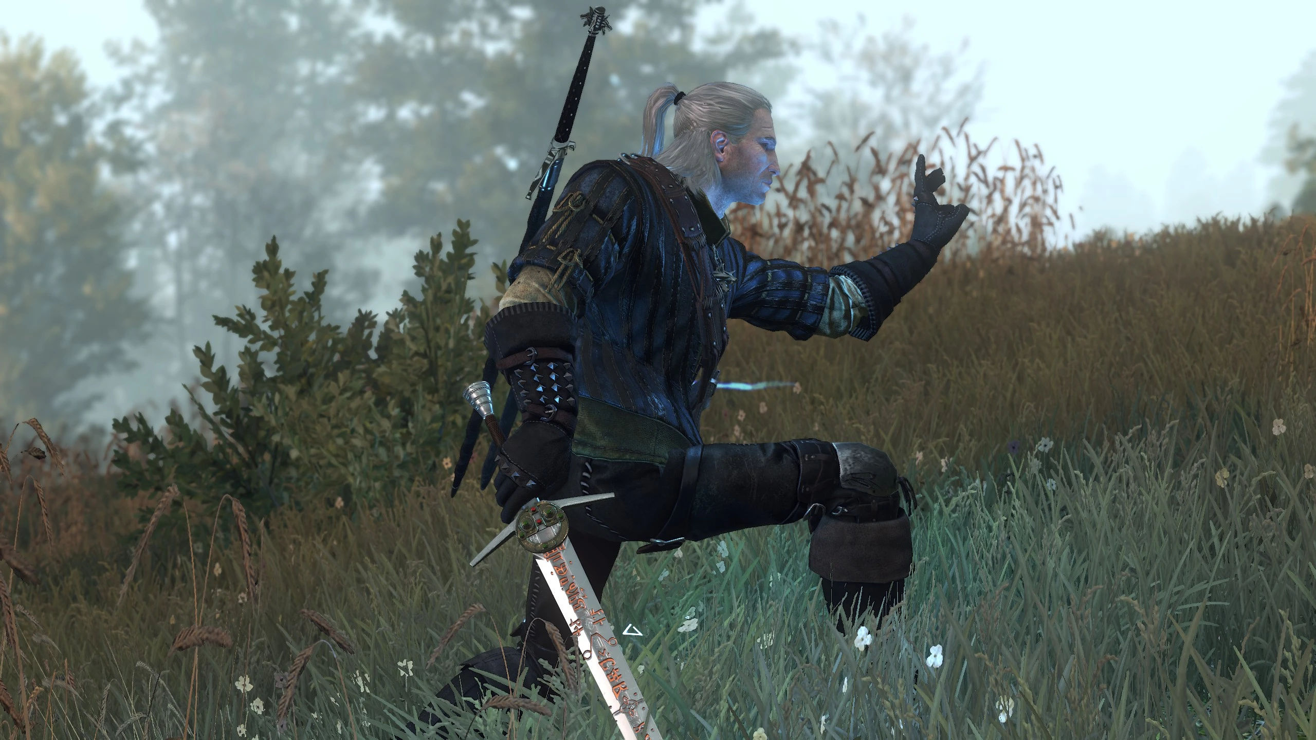 Quen at The Witcher 3 Nexus - Mods and community