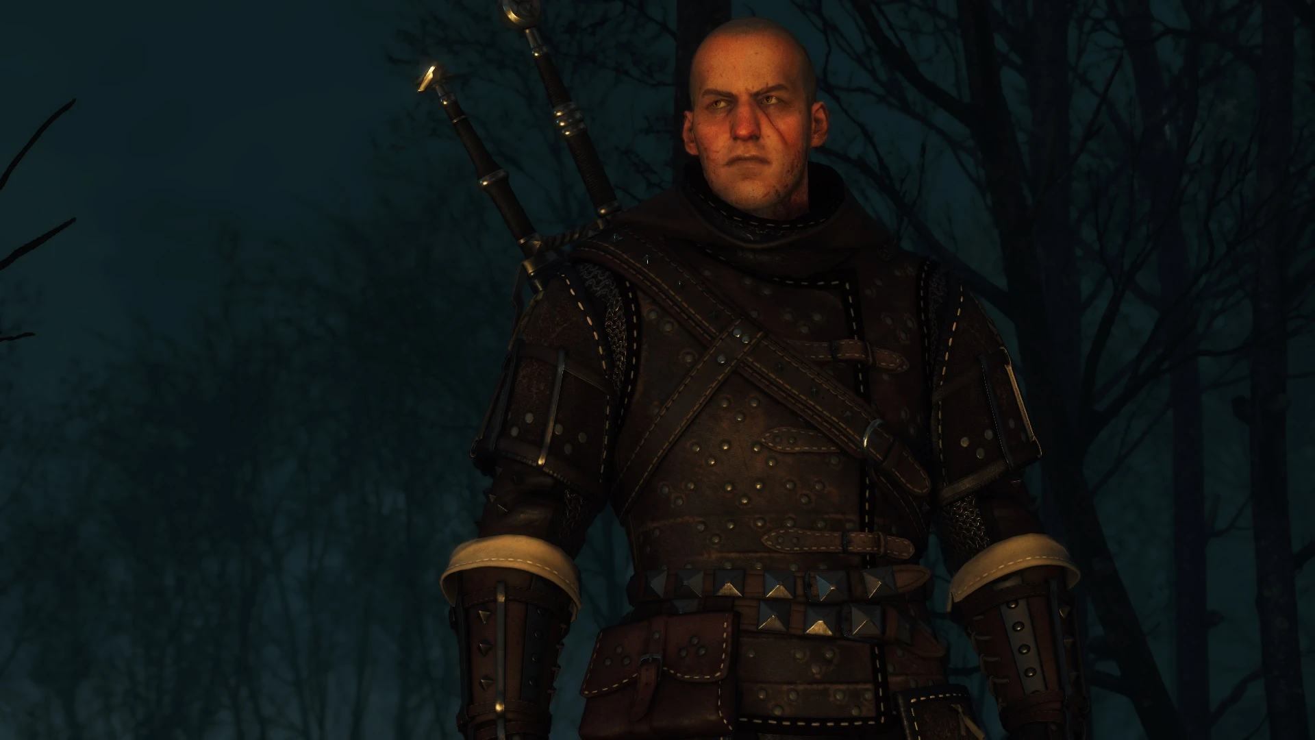 The witcher 3 witcher gear фото 72