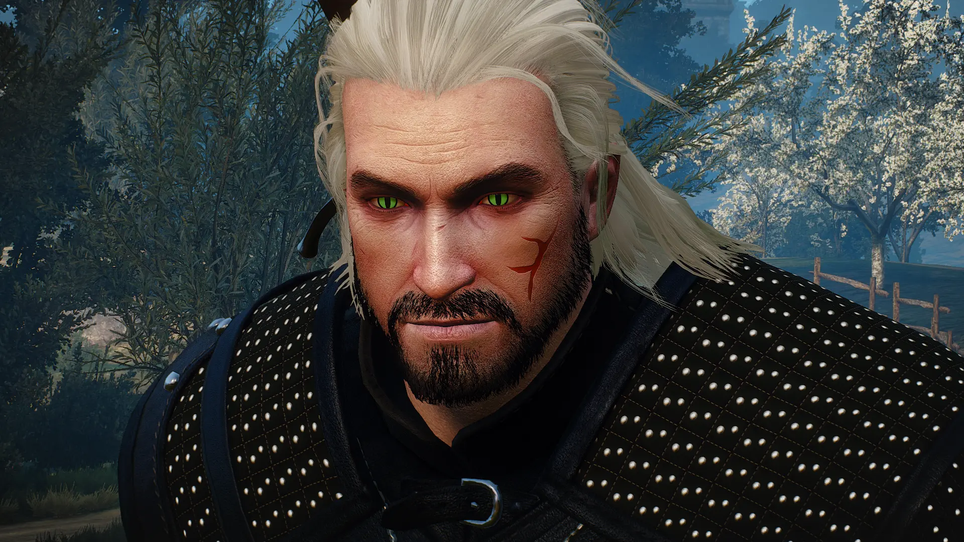 Nexus the witcher 3 mod manager фото 25