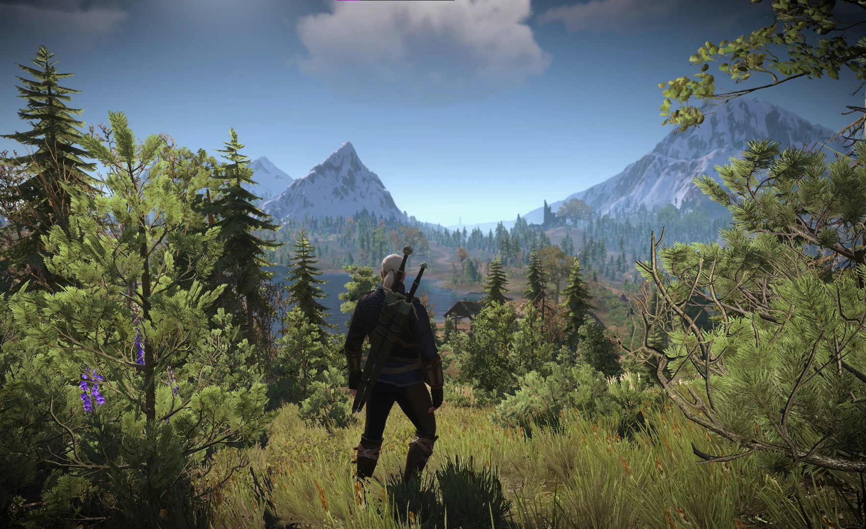 Beautiful Skellige Landscapes at The Witcher 3 Nexus - Mods and community