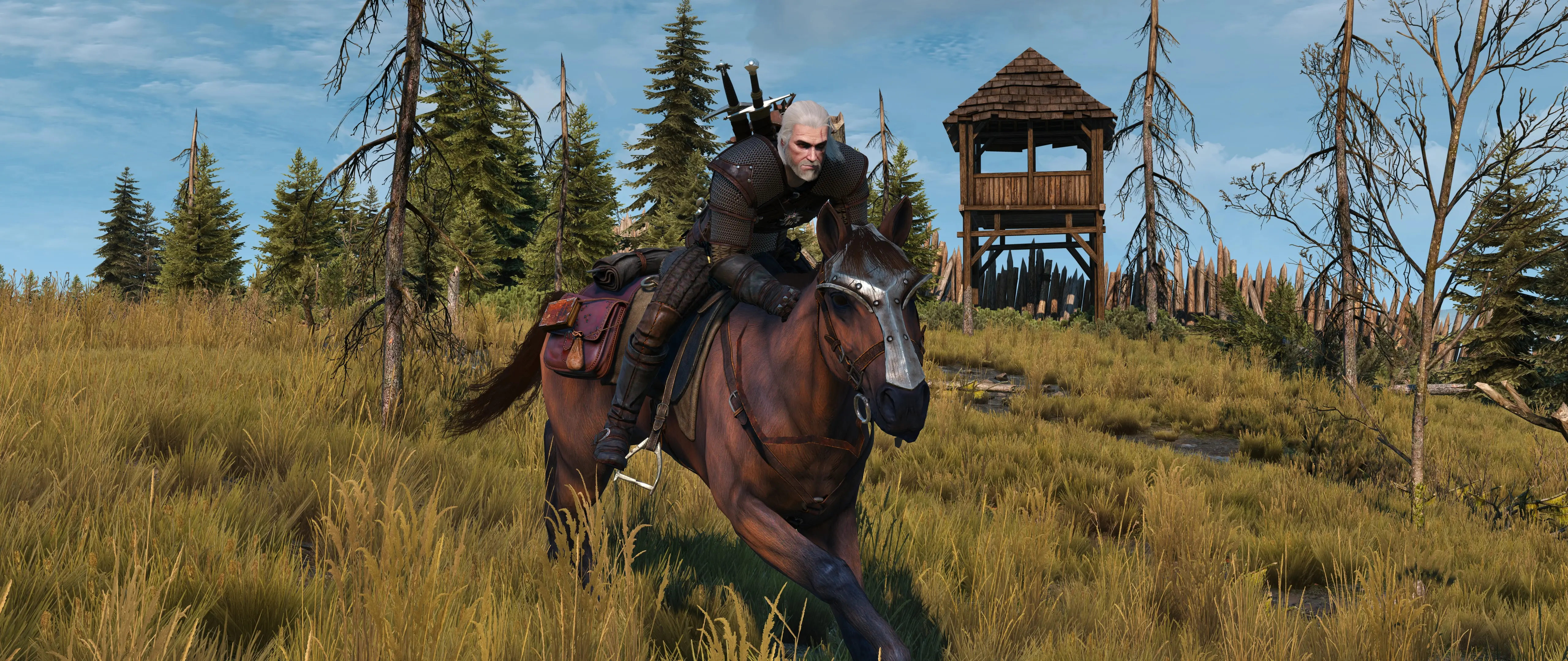 The witcher 3 mods iris фото 50