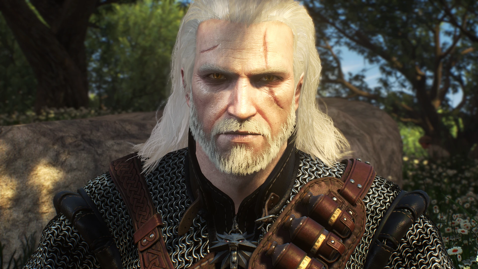 TBOB 2_0EE - Lore Friendly Geralt.