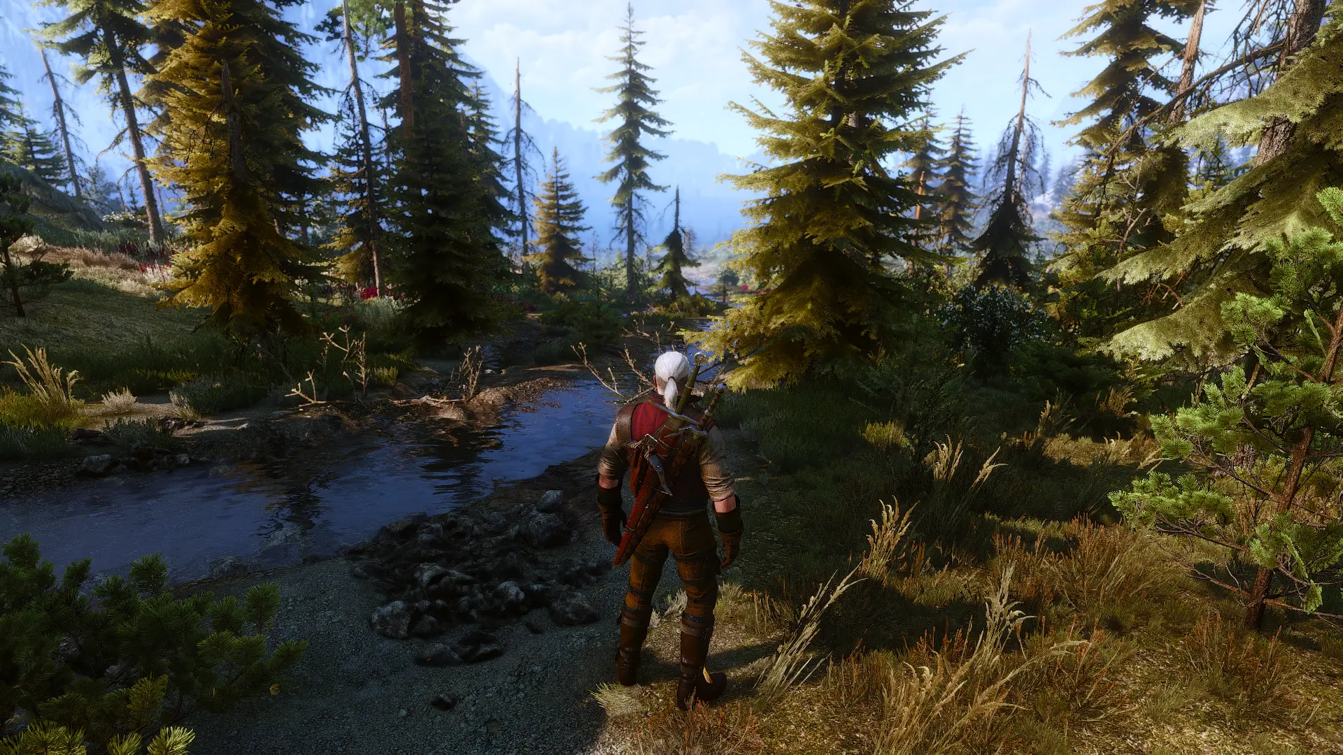 The witcher 3 hd reworked что это фото 40