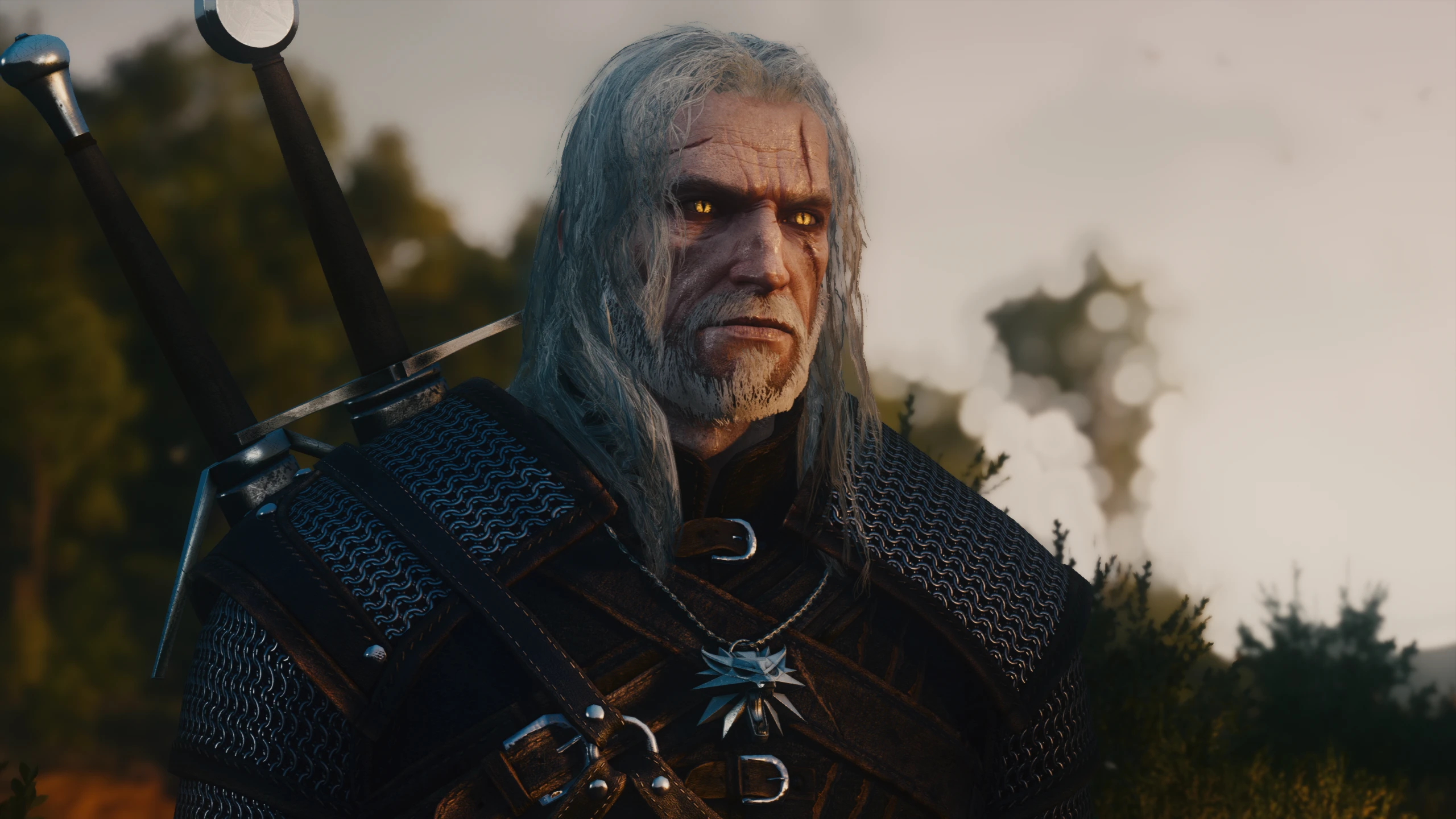 The Butcher of Blaviken at The Witcher 3 Nexus - Mods and community