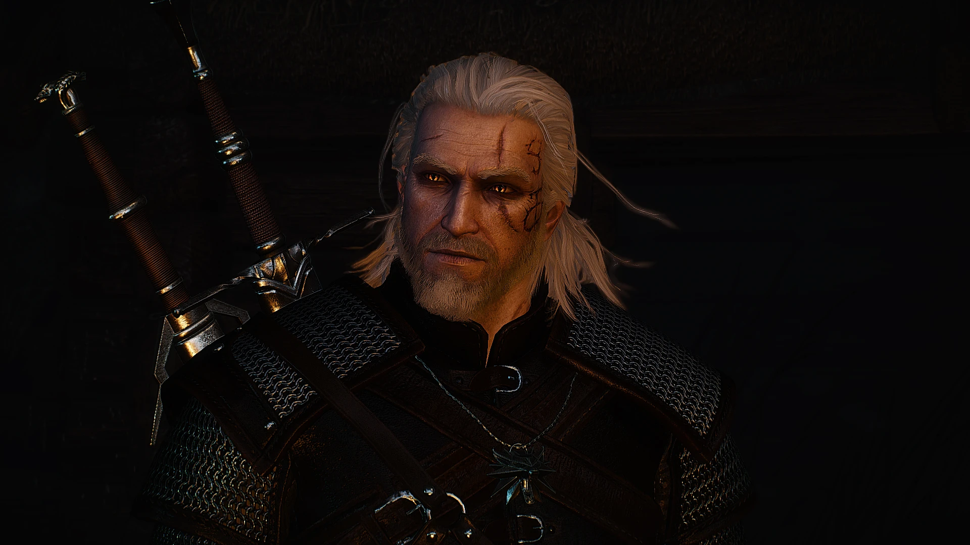 Puss Peepers At The Witcher 3 Nexus Mods And Community 0836