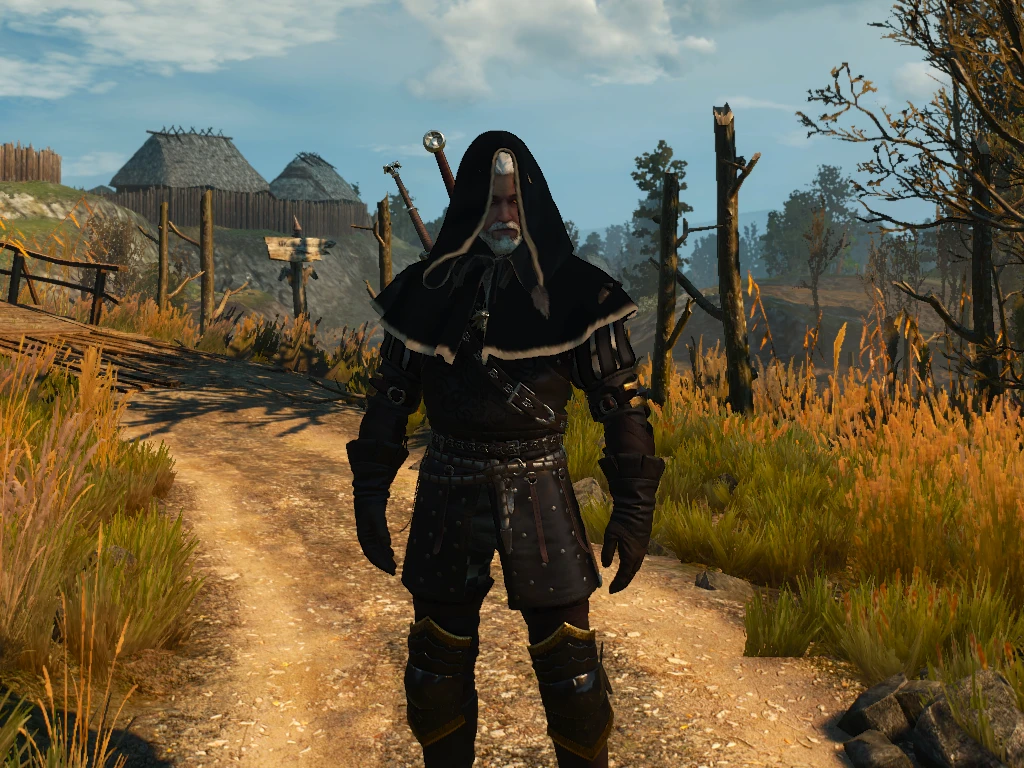 the witcher 1 mods