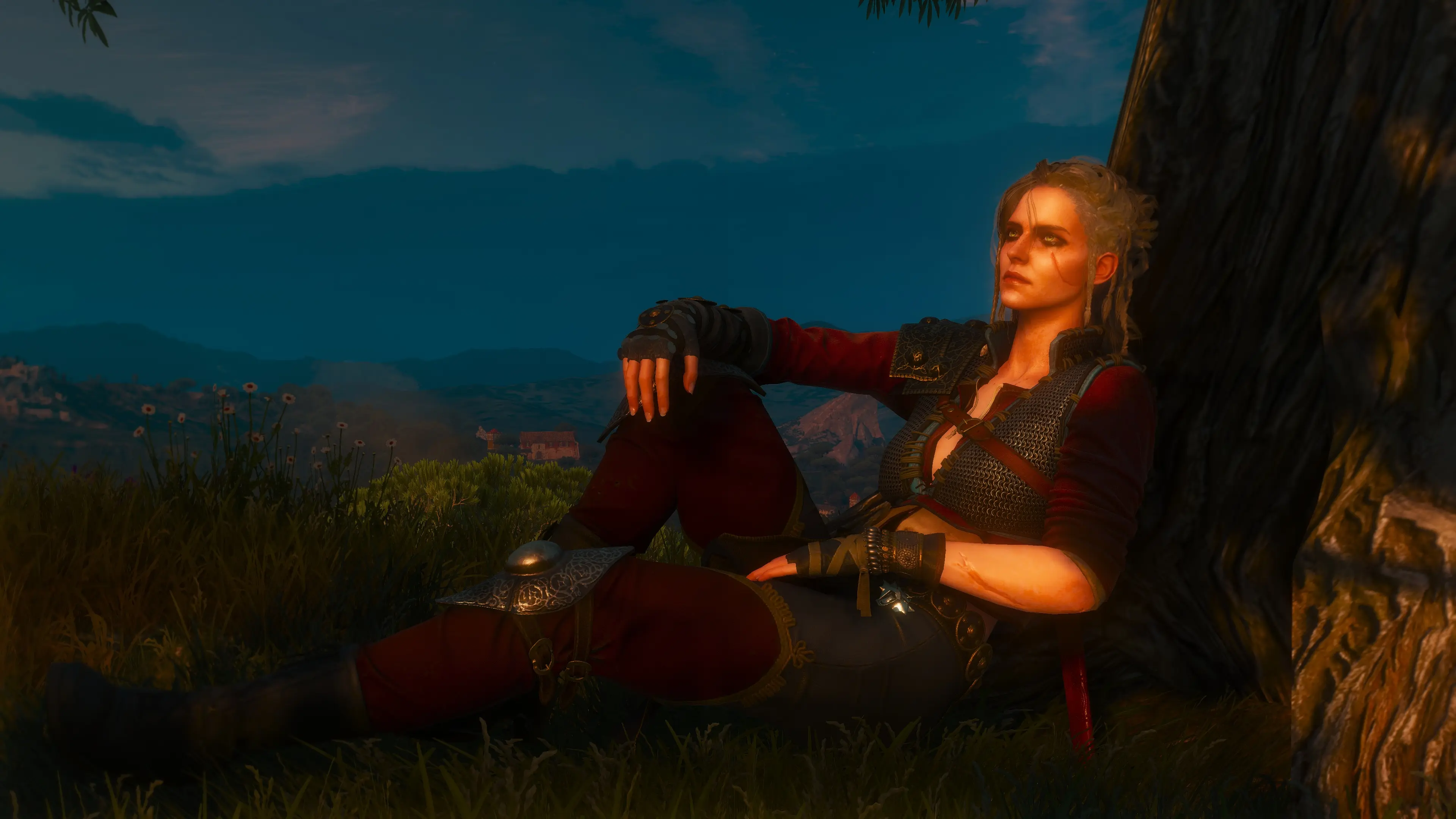 Ciri At The Witcher 3 Nexus Mods And Community