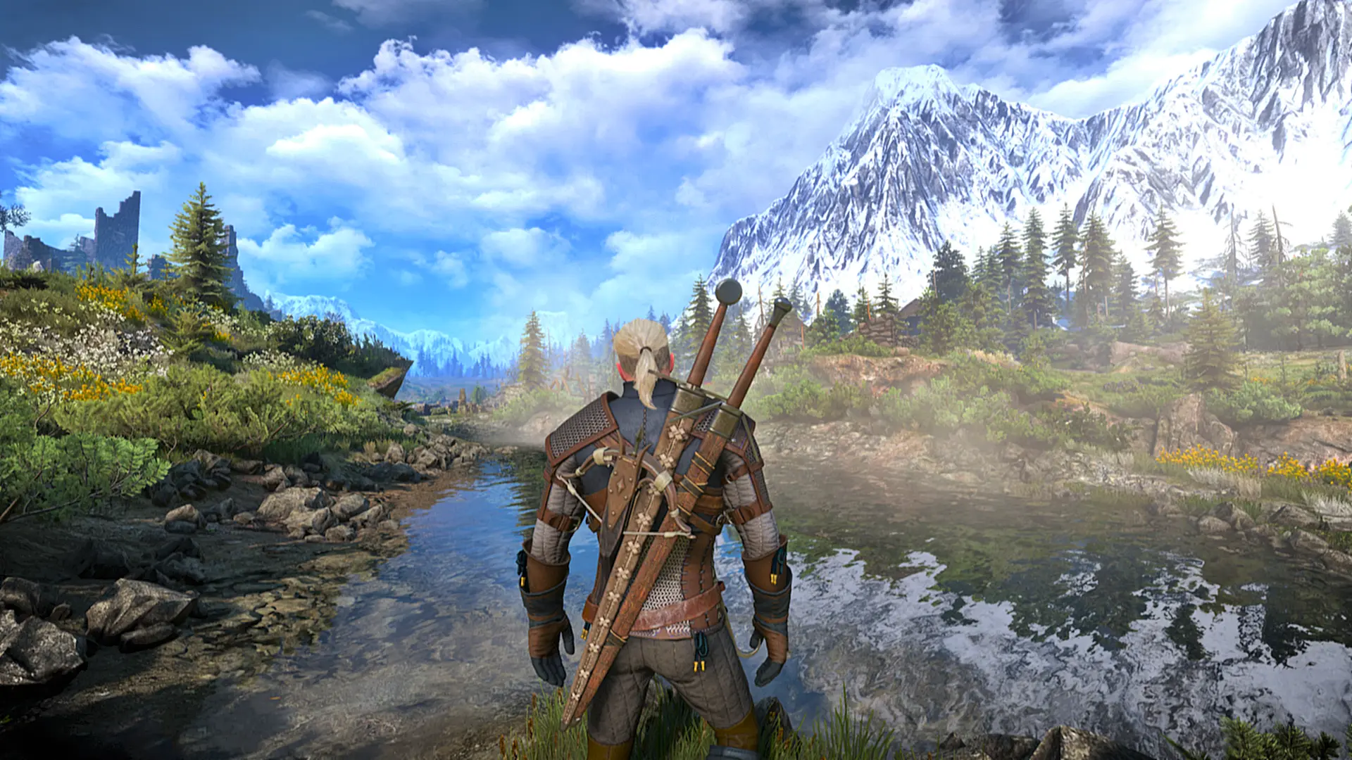 Witcher next gen