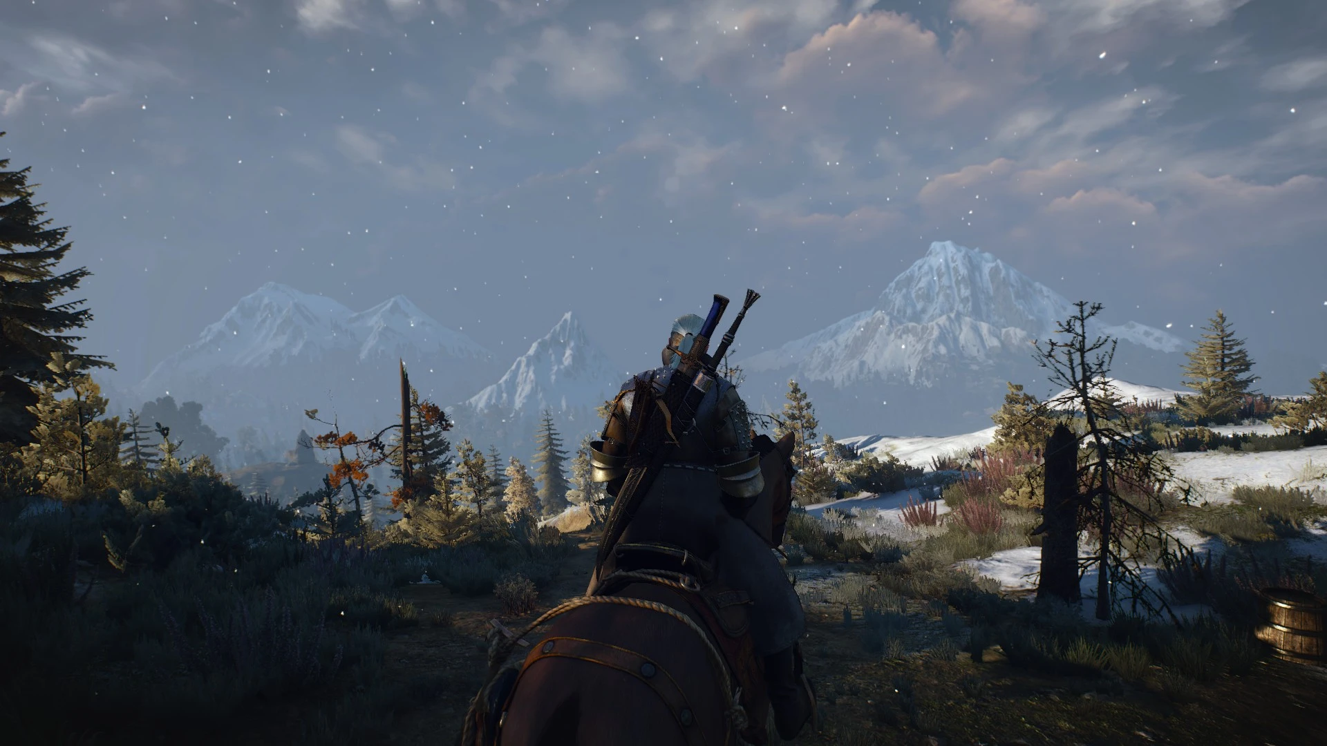 Nexus mod manager для the witcher 3 фото 54