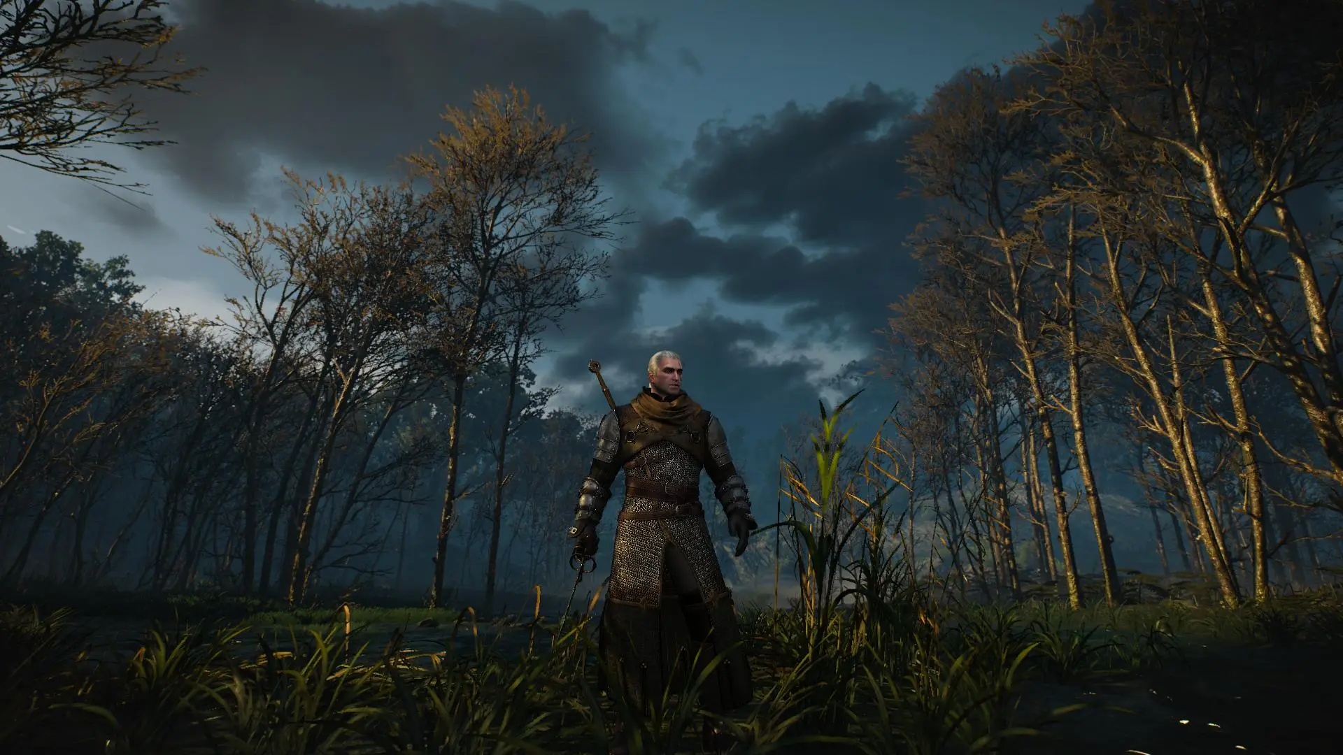 the swamps of crockback bog at The Witcher 3 Nexus - Mods and community