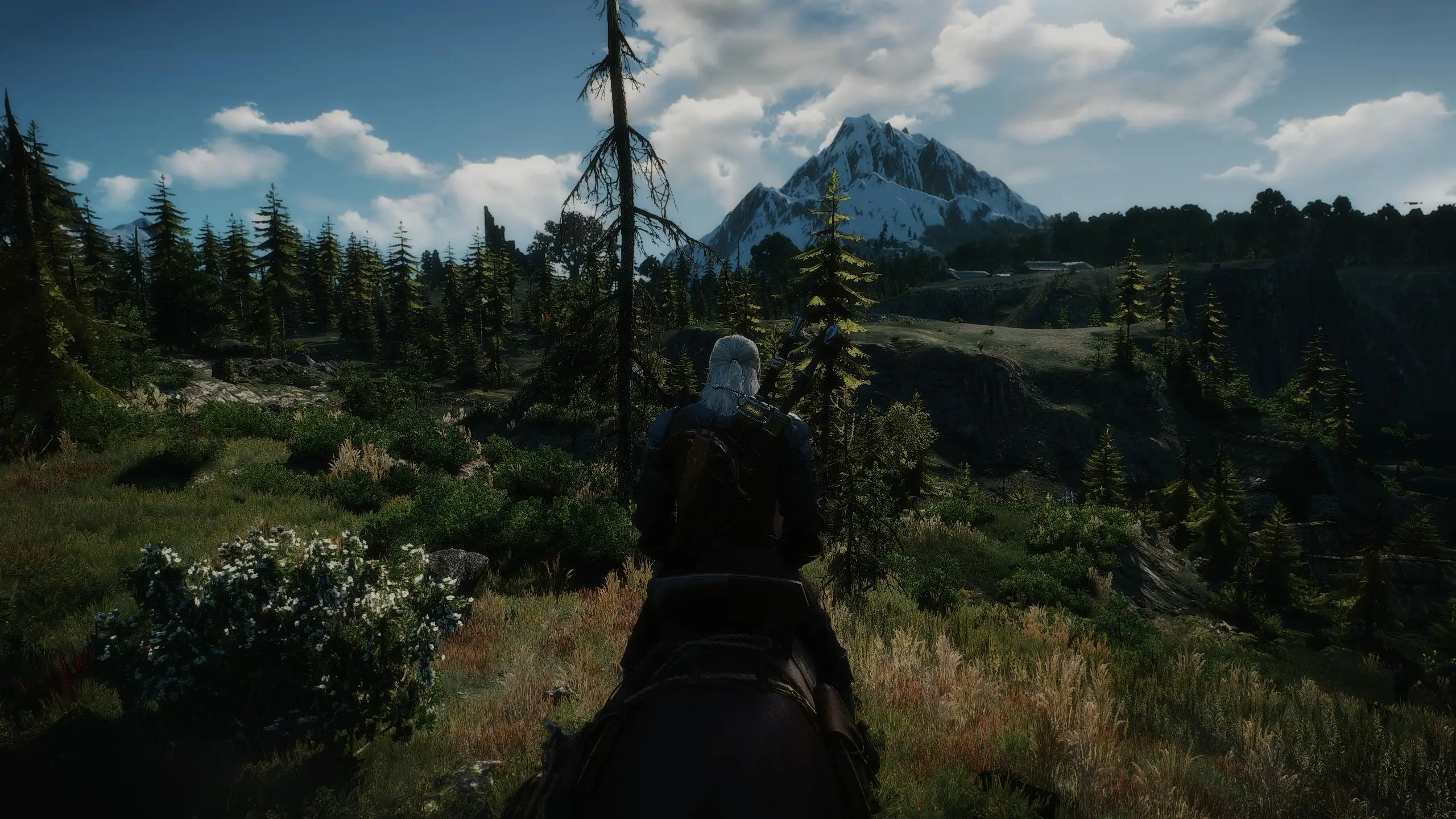 Fully Modded at The Witcher 3 Nexus - Mods and community