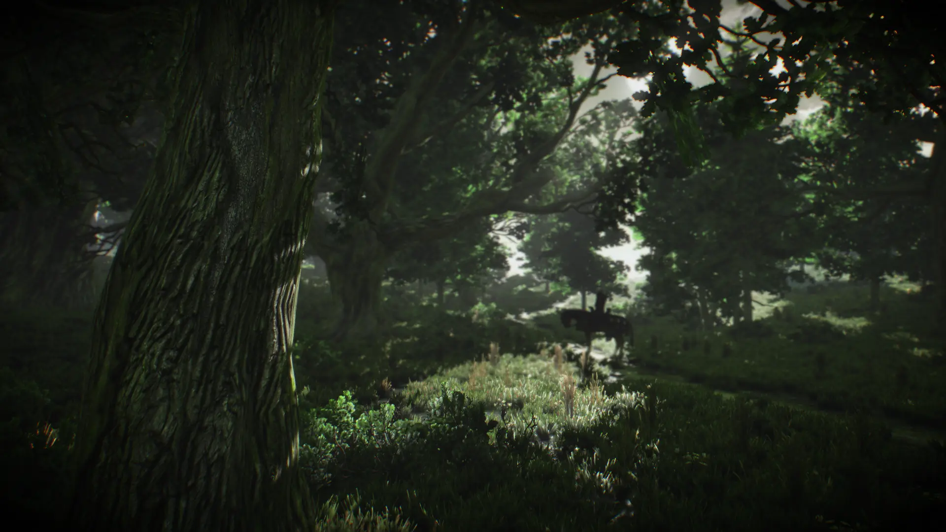 Alone in the woods at The Witcher 3 Nexus - Mods and community