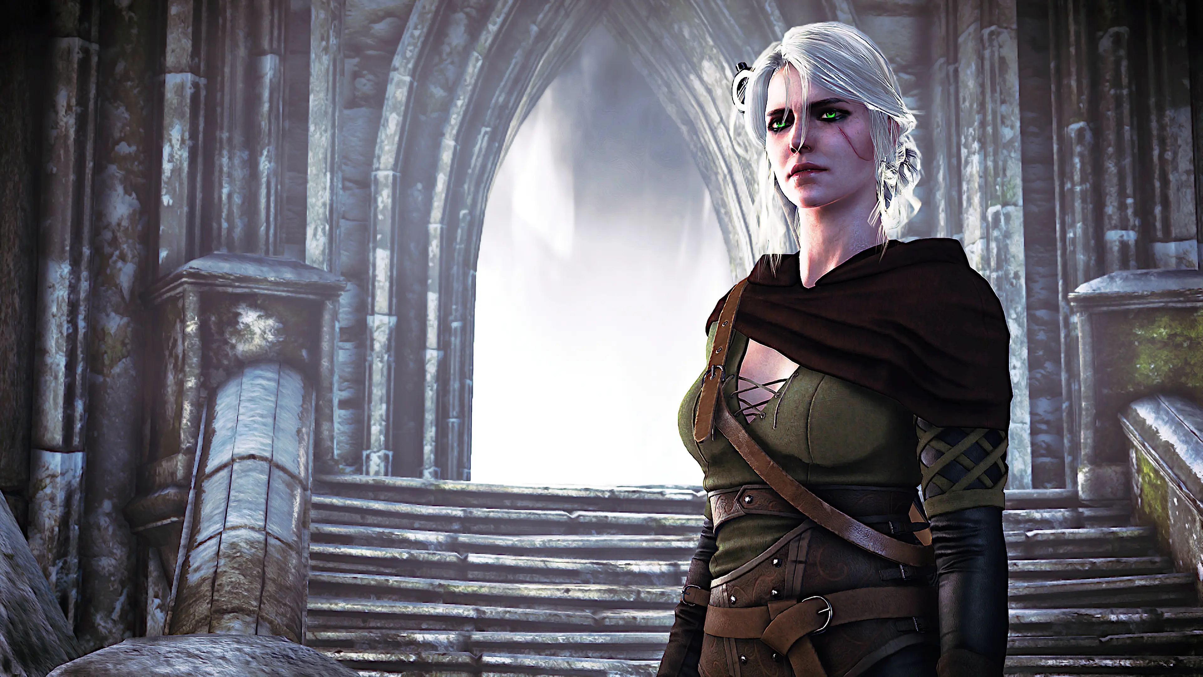 The witcher 3 eyes skyrim legendary edition фото 111