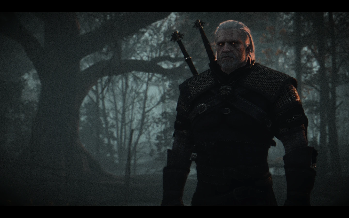 The witcher 3 killing monsters фото 5