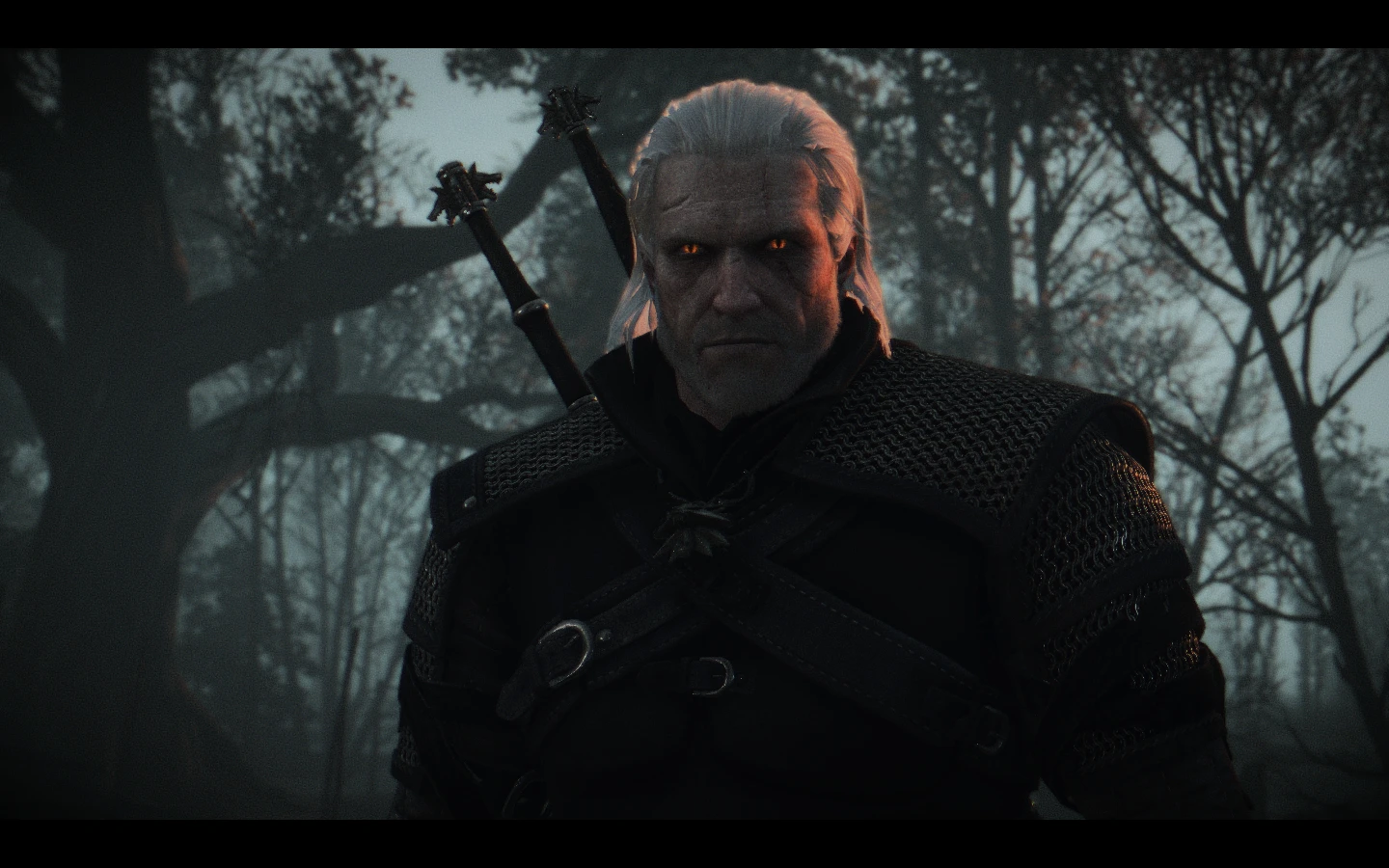 The witcher 3 killing monsters фото 16
