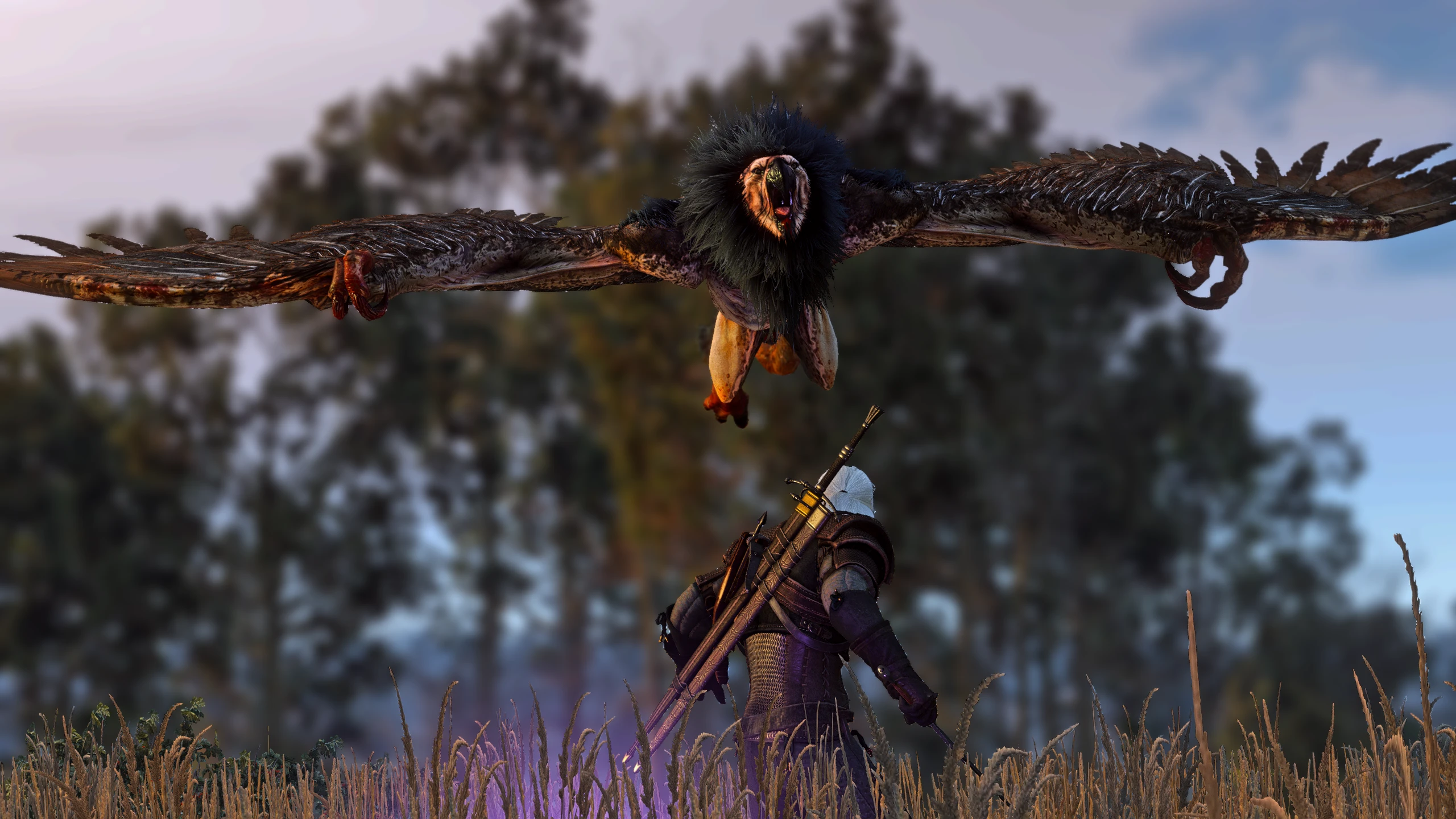 The witcher 3 griffin school hunt фото 95