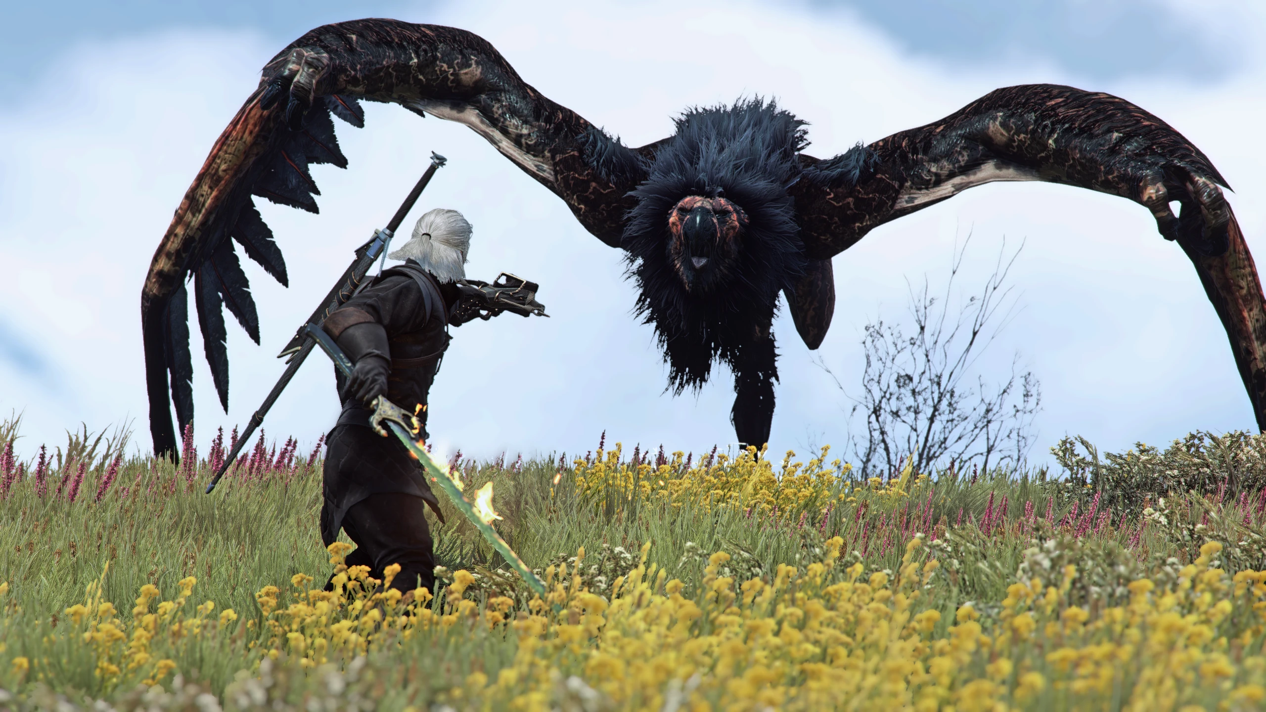 The witcher 3 griffin school hunt фото 22