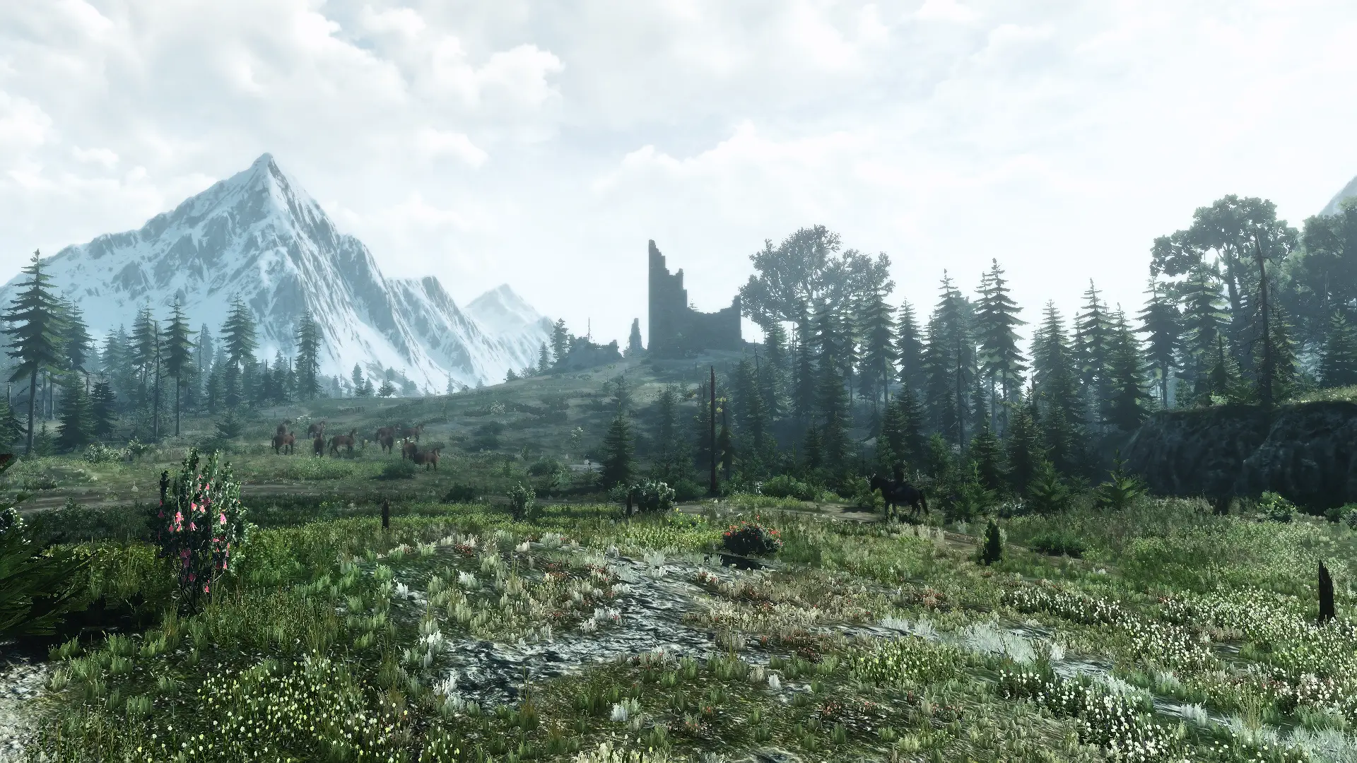 Skellige at The Witcher 3 Nexus - Mods and community