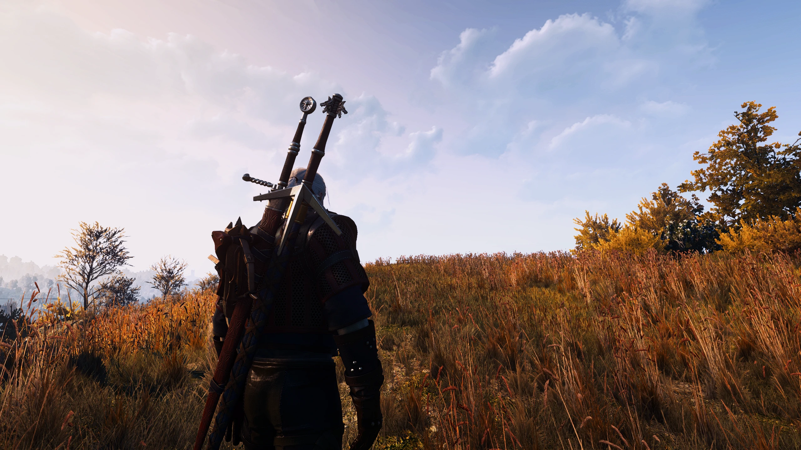 The witcher 3 nexus mods and community фото 46