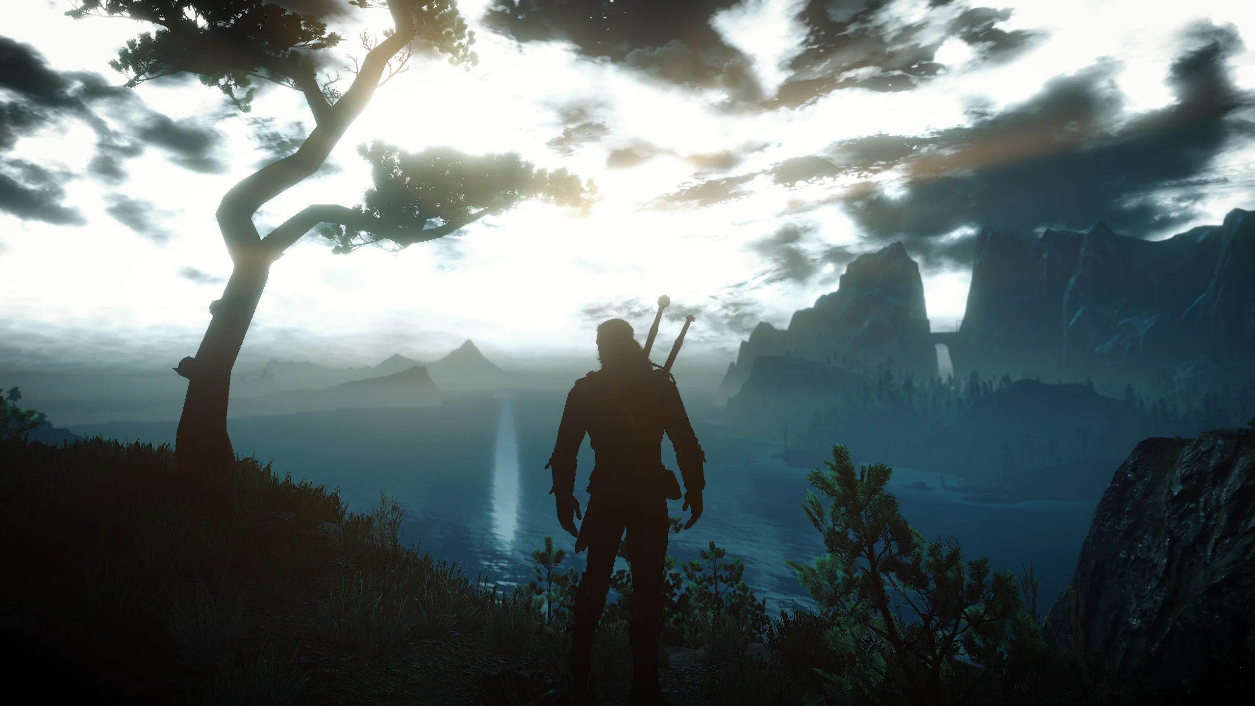 Silhouette At The Witcher 3 Nexus Mods And Community