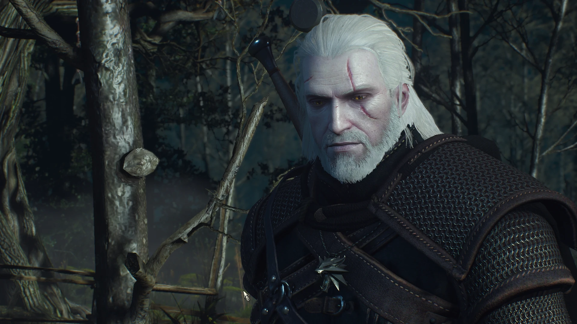 Broken Heart at The Witcher 3 Nexus - Mods and community