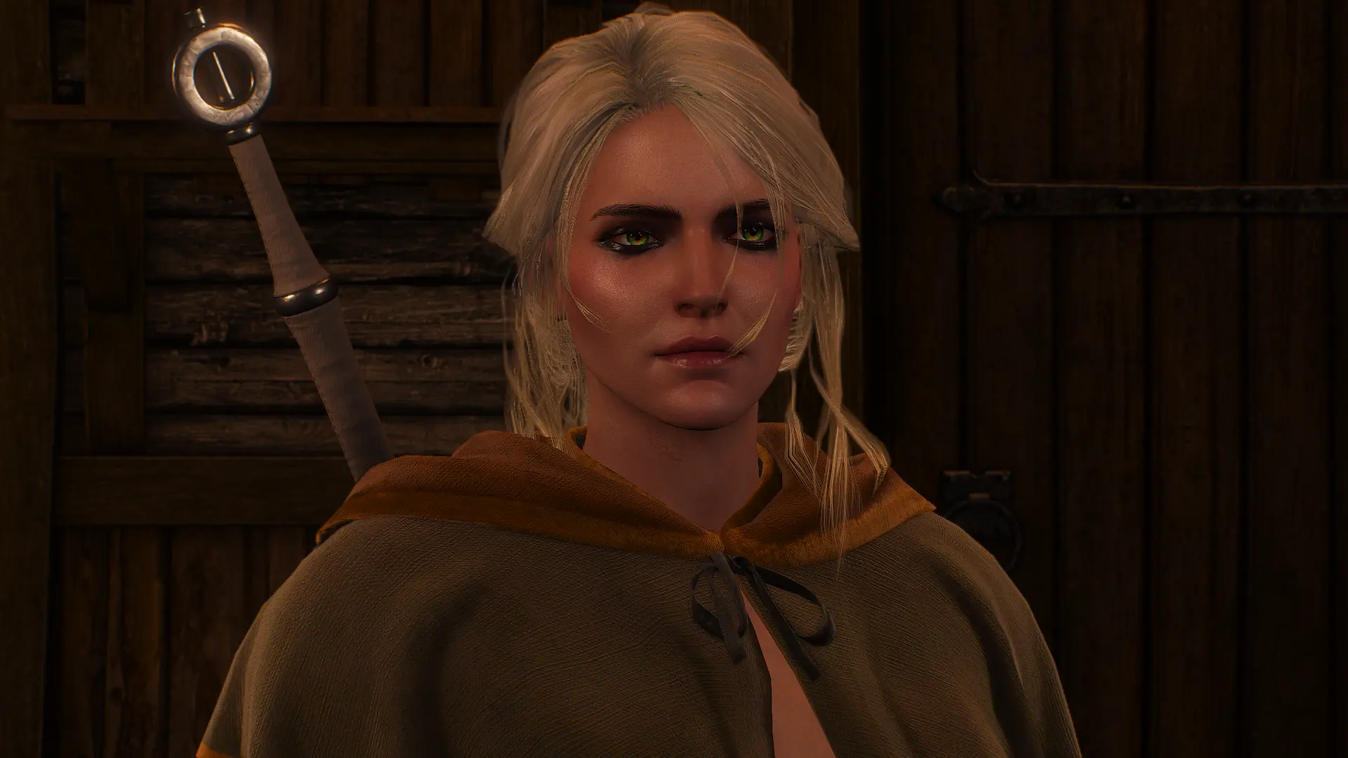 Cirilla Fiona Elen Riannon at The Witcher 3 Nexus - Mods and community