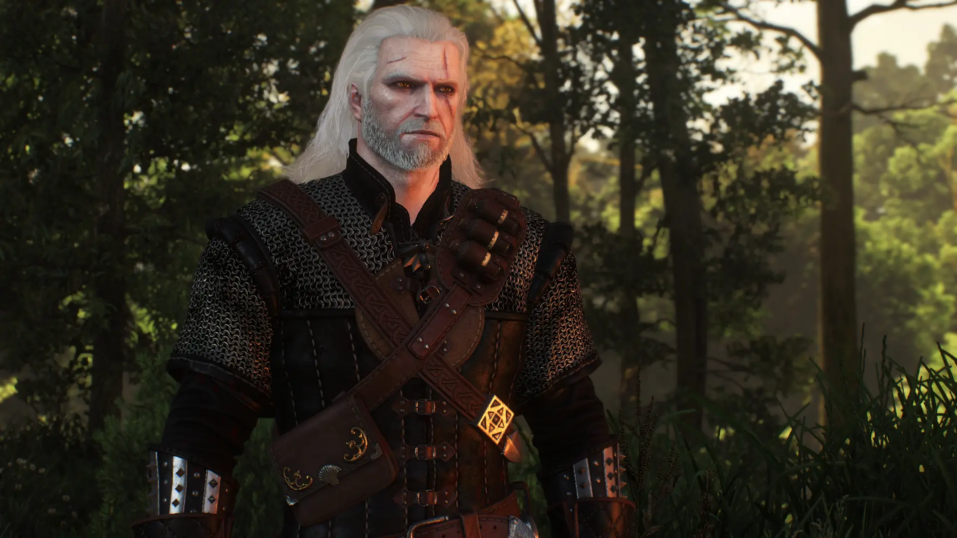 The witcher 3 geralt cloak фото 69