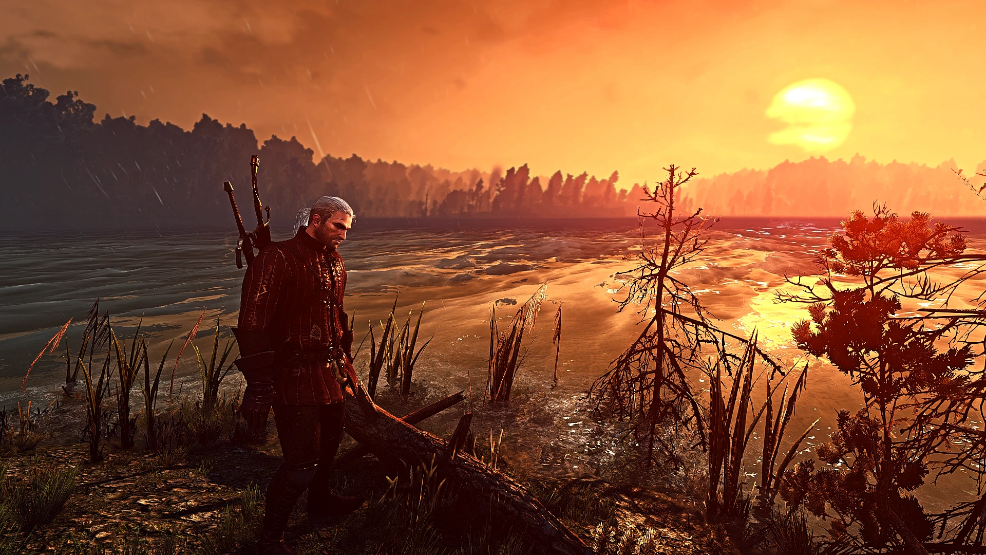 sunrise at The Witcher 3 Nexus - Mods and community