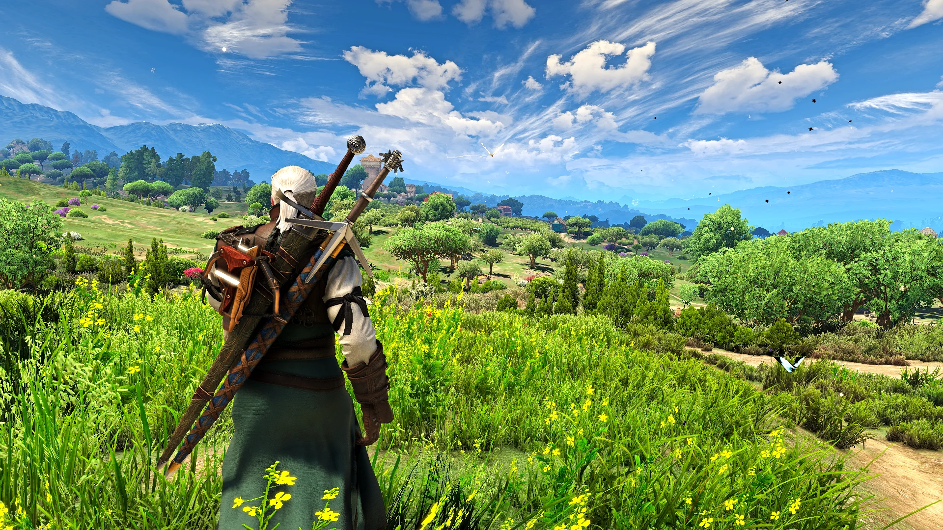 The witcher 3 importing save фото 80