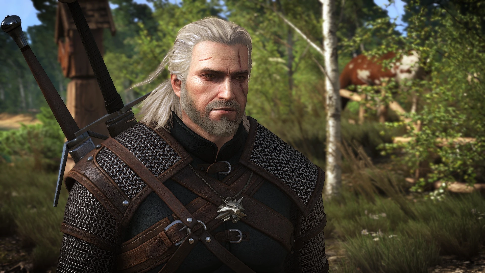 Gear the witcher 3 фото 109