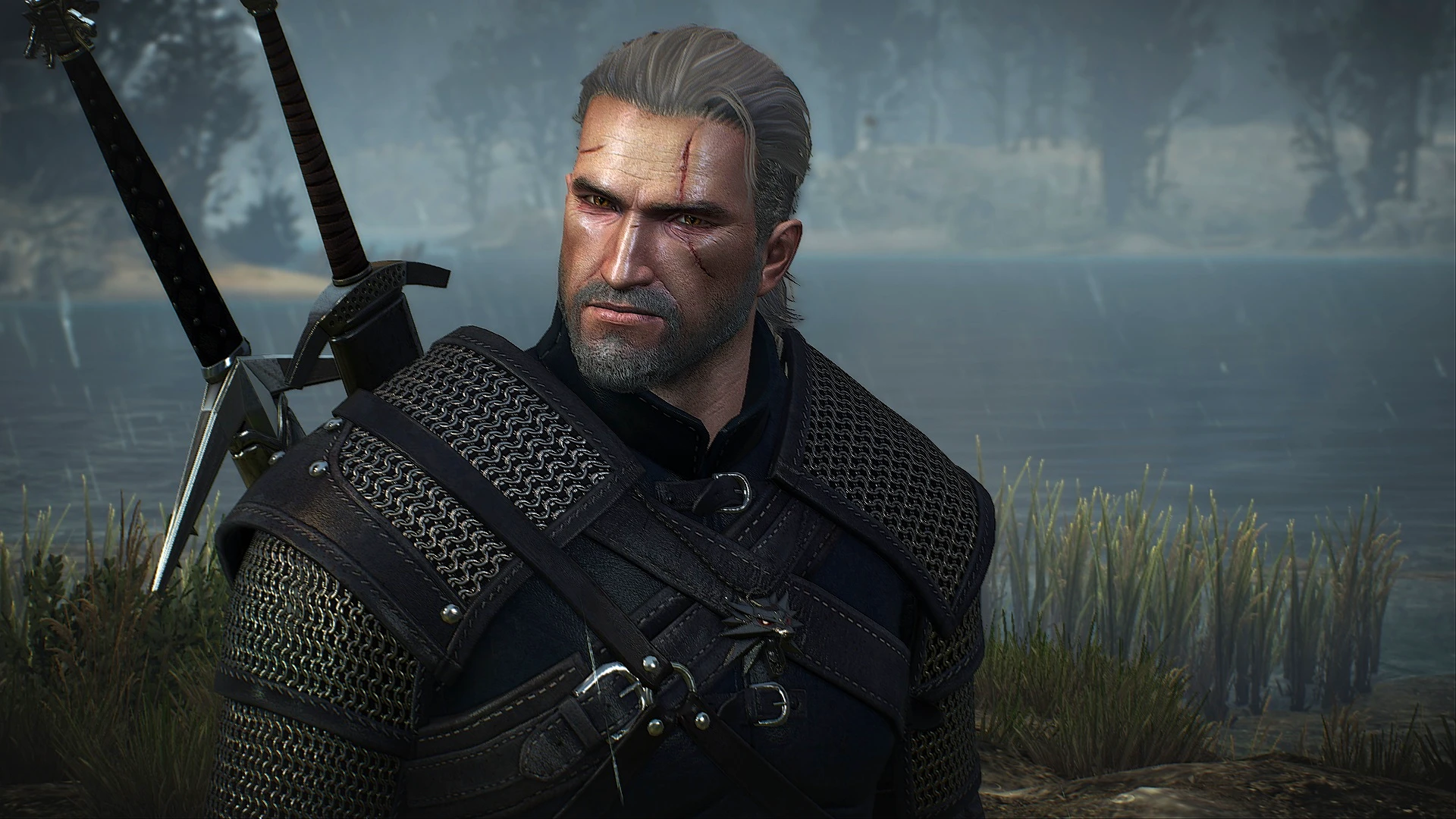 The Witcher 1 Geralt shaved at The Witcher 3 Nexus - Mods and community