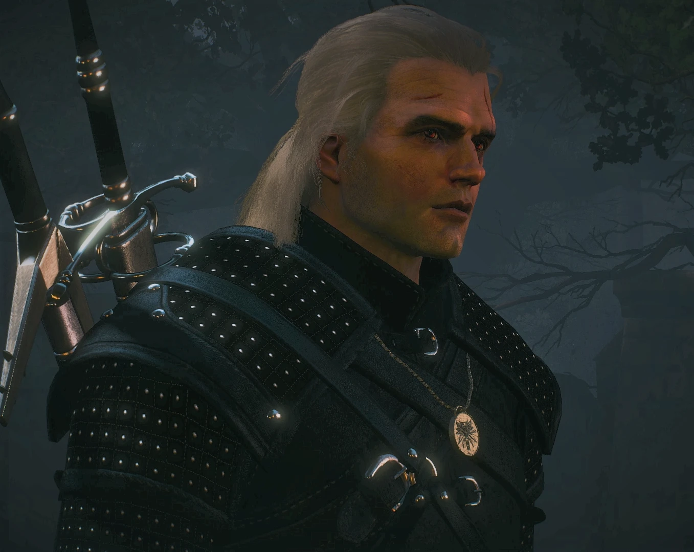 The witcher 3 geralt face фото 94