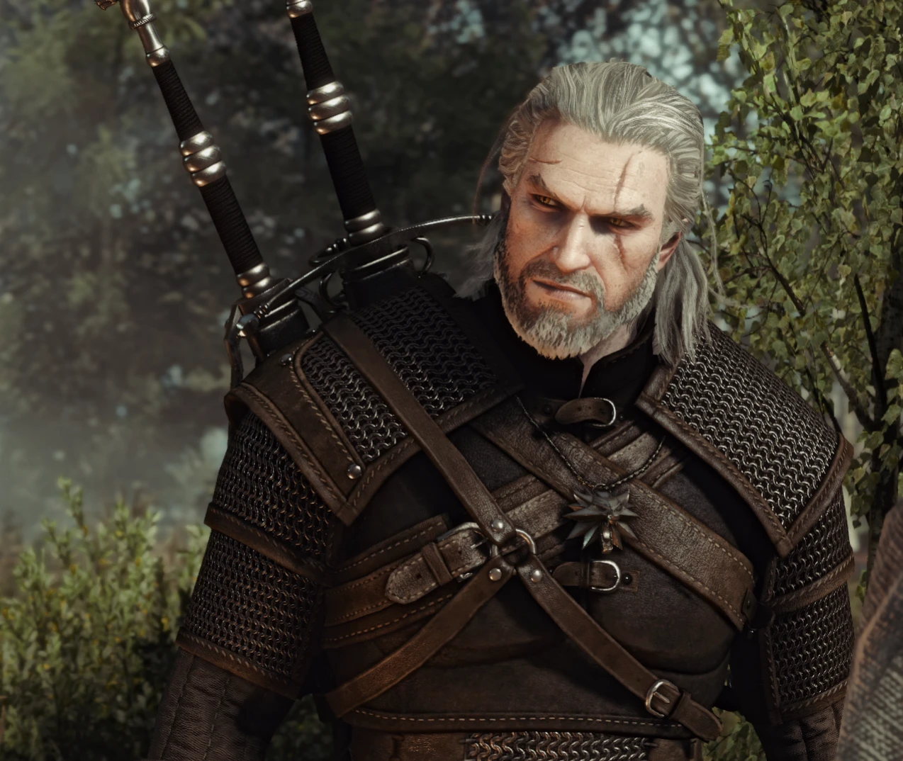 Gerry boy at The Witcher 3 Nexus - Mods and community