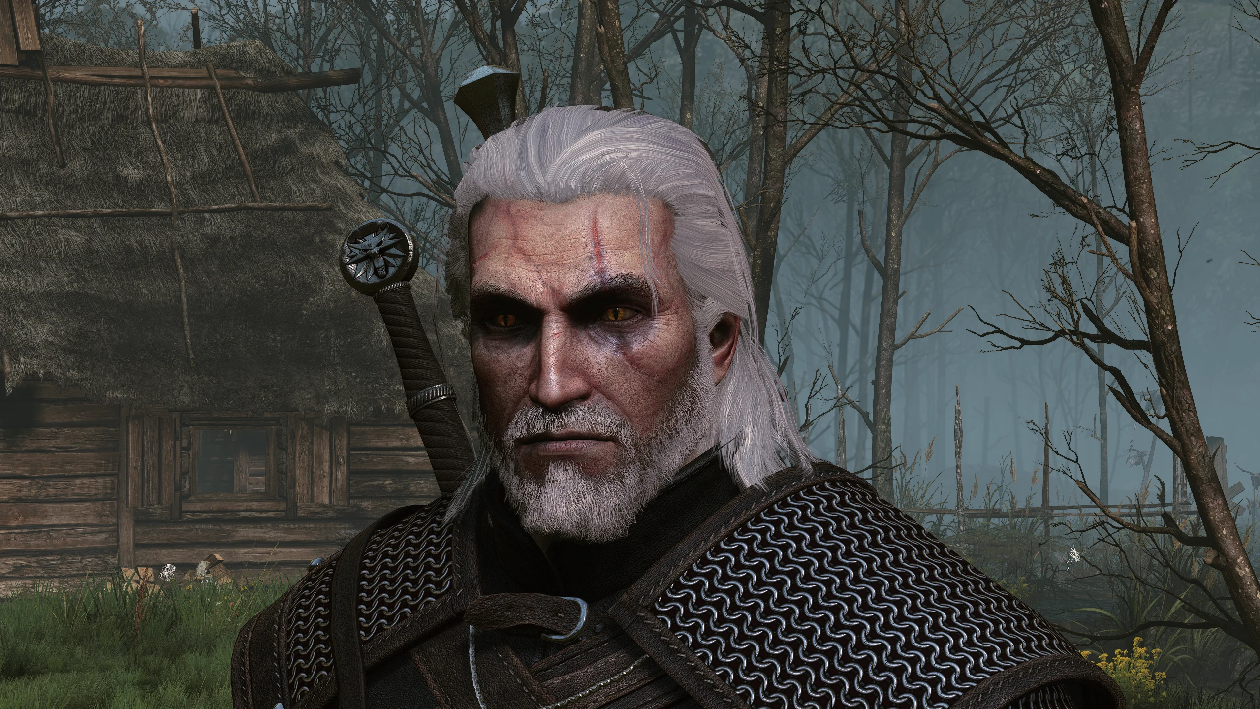 4K Geralt non-hw redone at The Witcher 3 Nexus - Mods and community