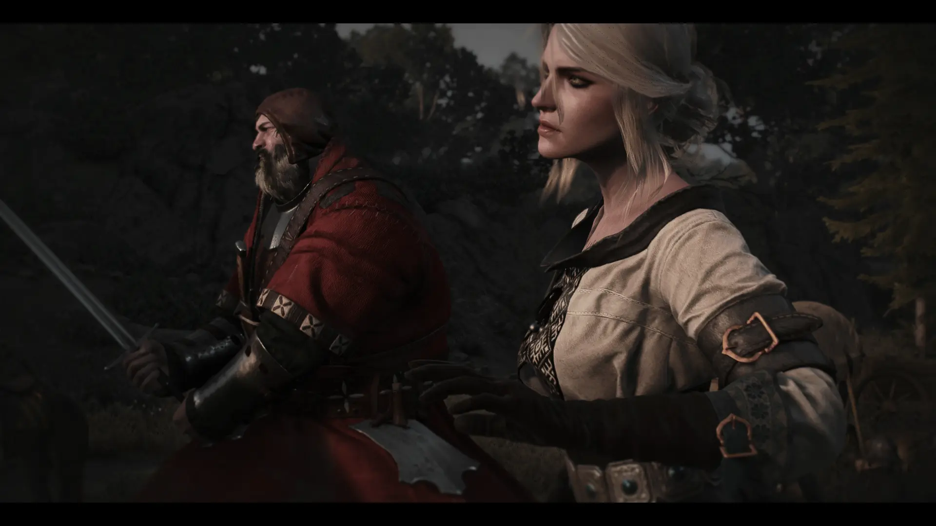 Short Story l Ciri Fight at The Witcher 3 Nexus - Mods and community