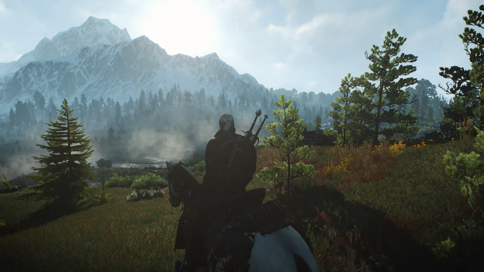 View On Horseback at The Witcher 3 Nexus - Mods and community