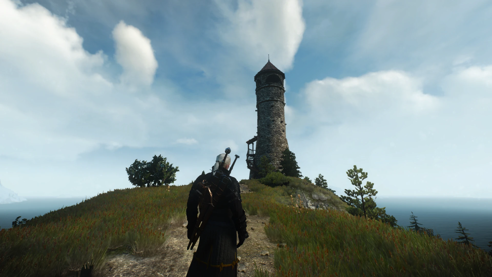 witcher 3 experience mod