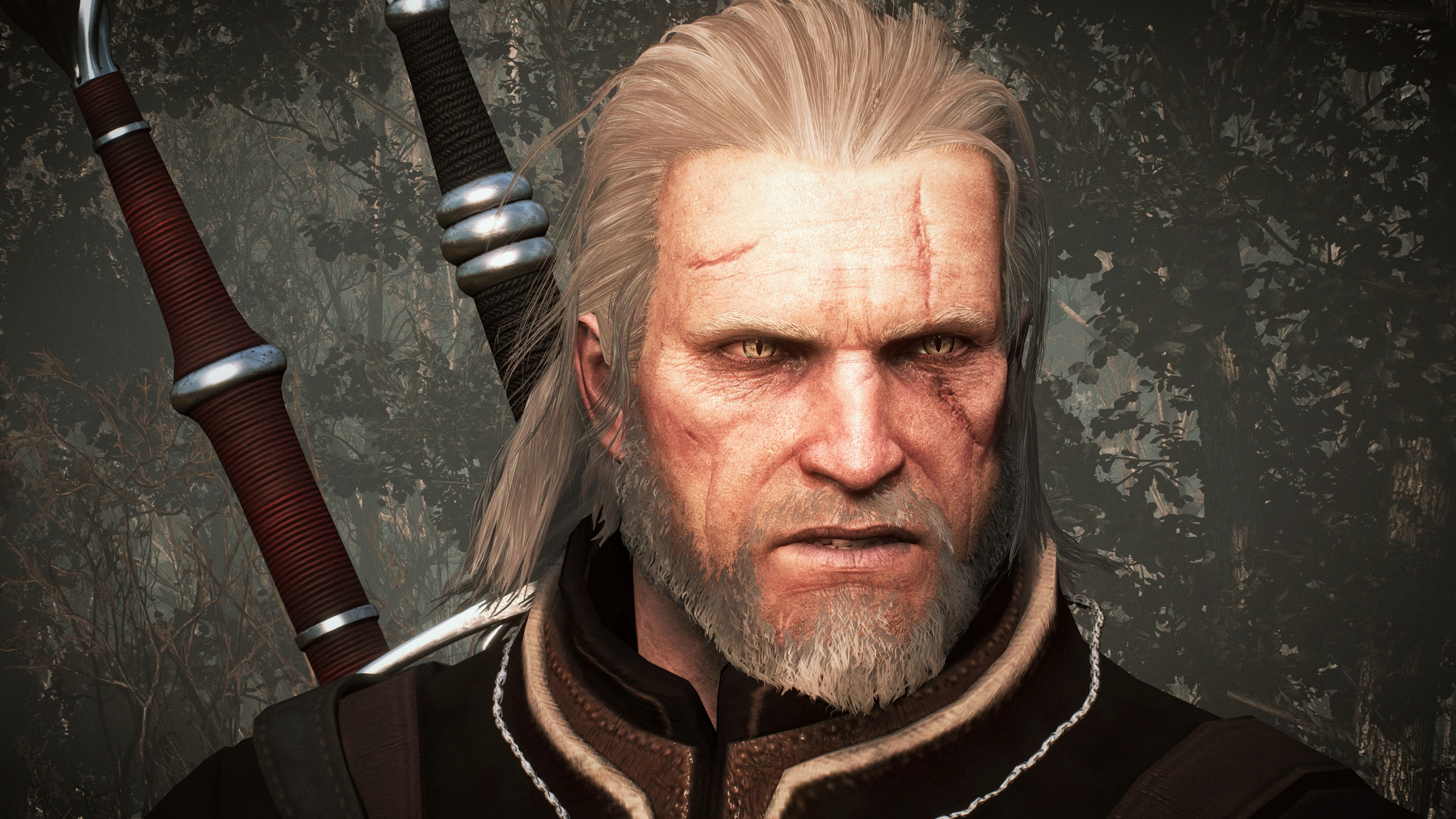 Top mods at The Witcher Nexus - mods and community